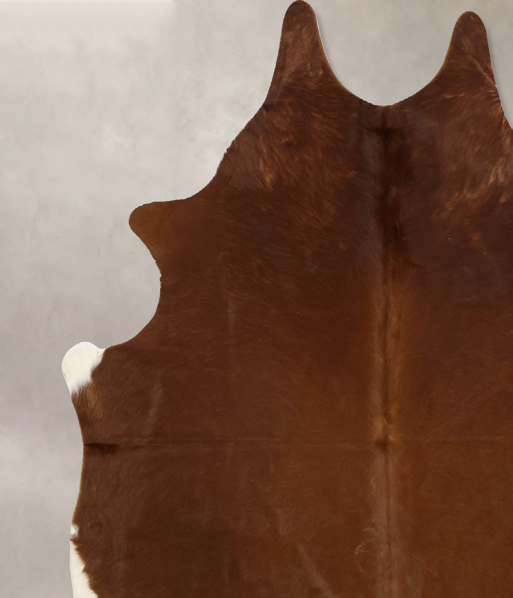 Solid Brown Cowhide Rug #B11170