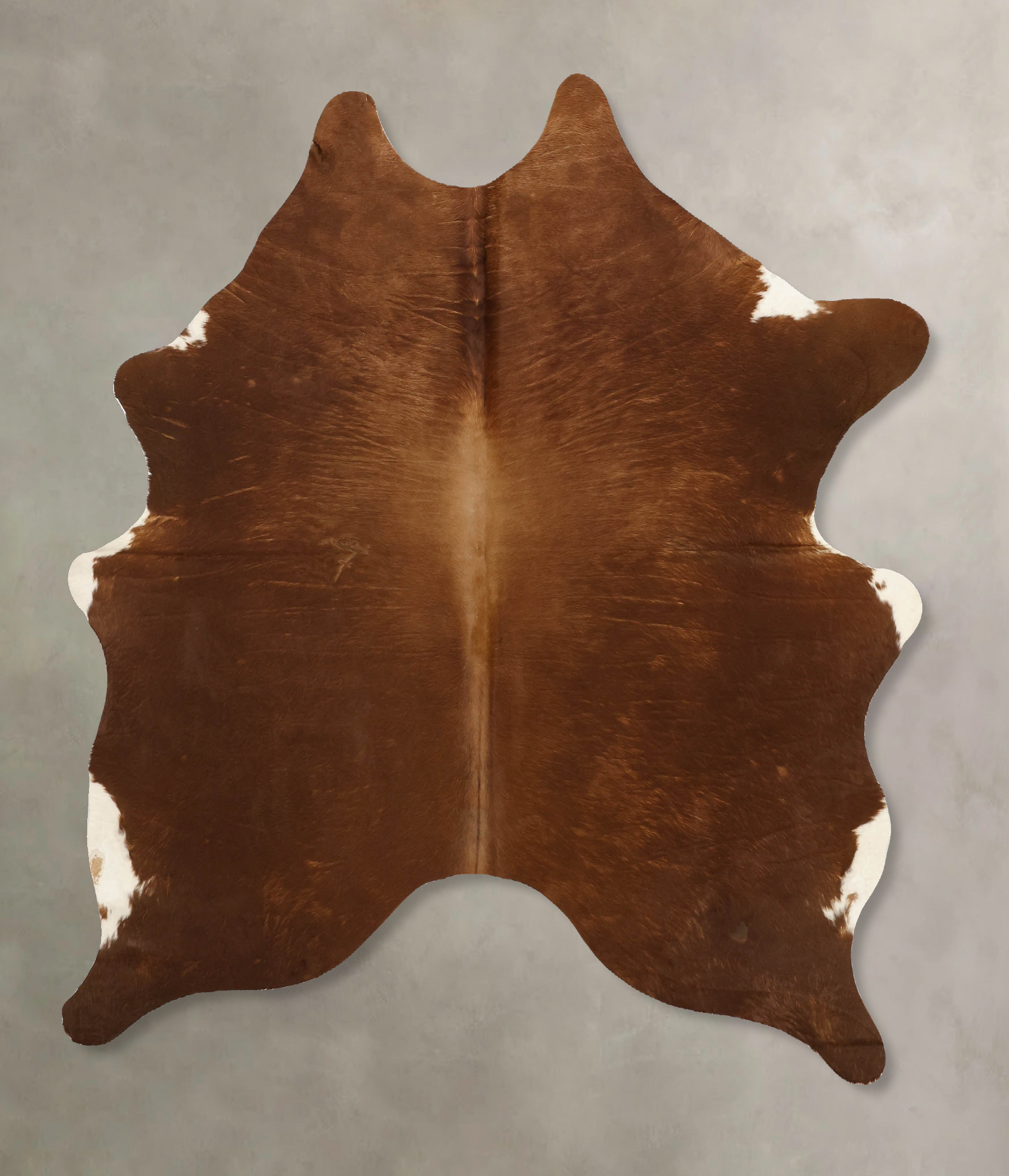 Solid Brown Cowhide Rug #B11171