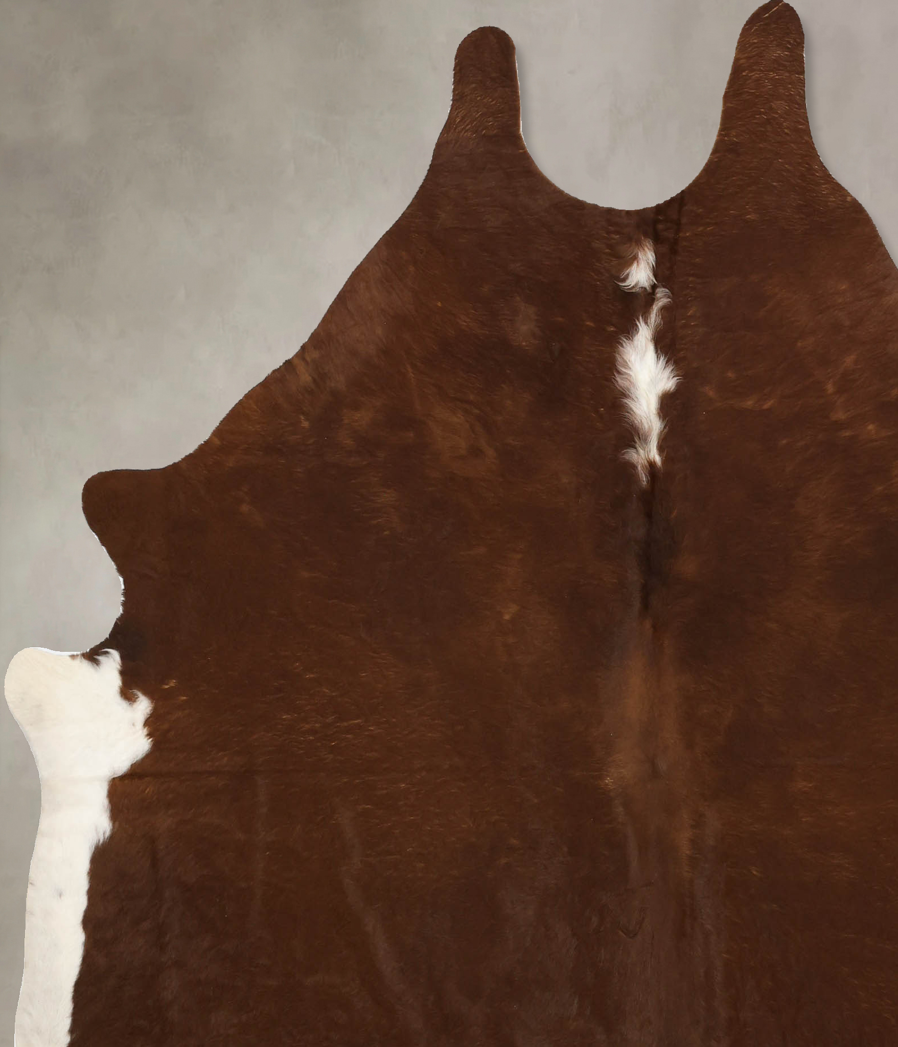 Brown and White Regular Cowhide Rug #B11178