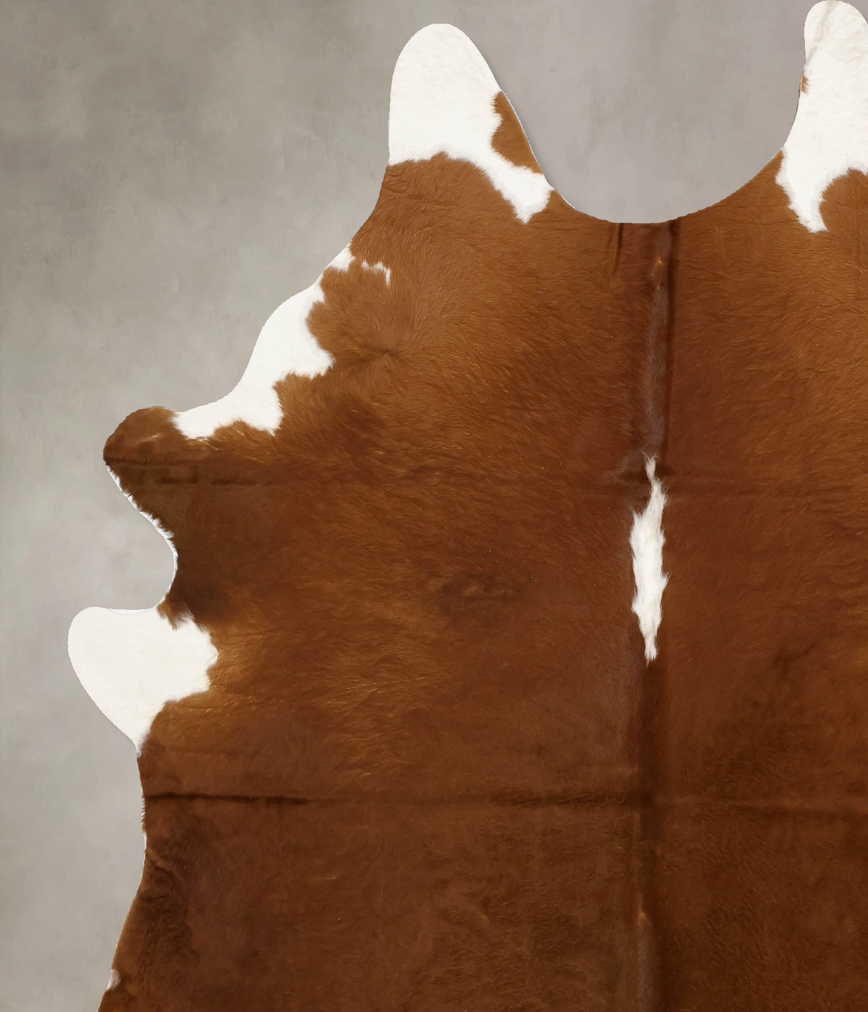 Brown and White Regular Cowhide Rug #B11180