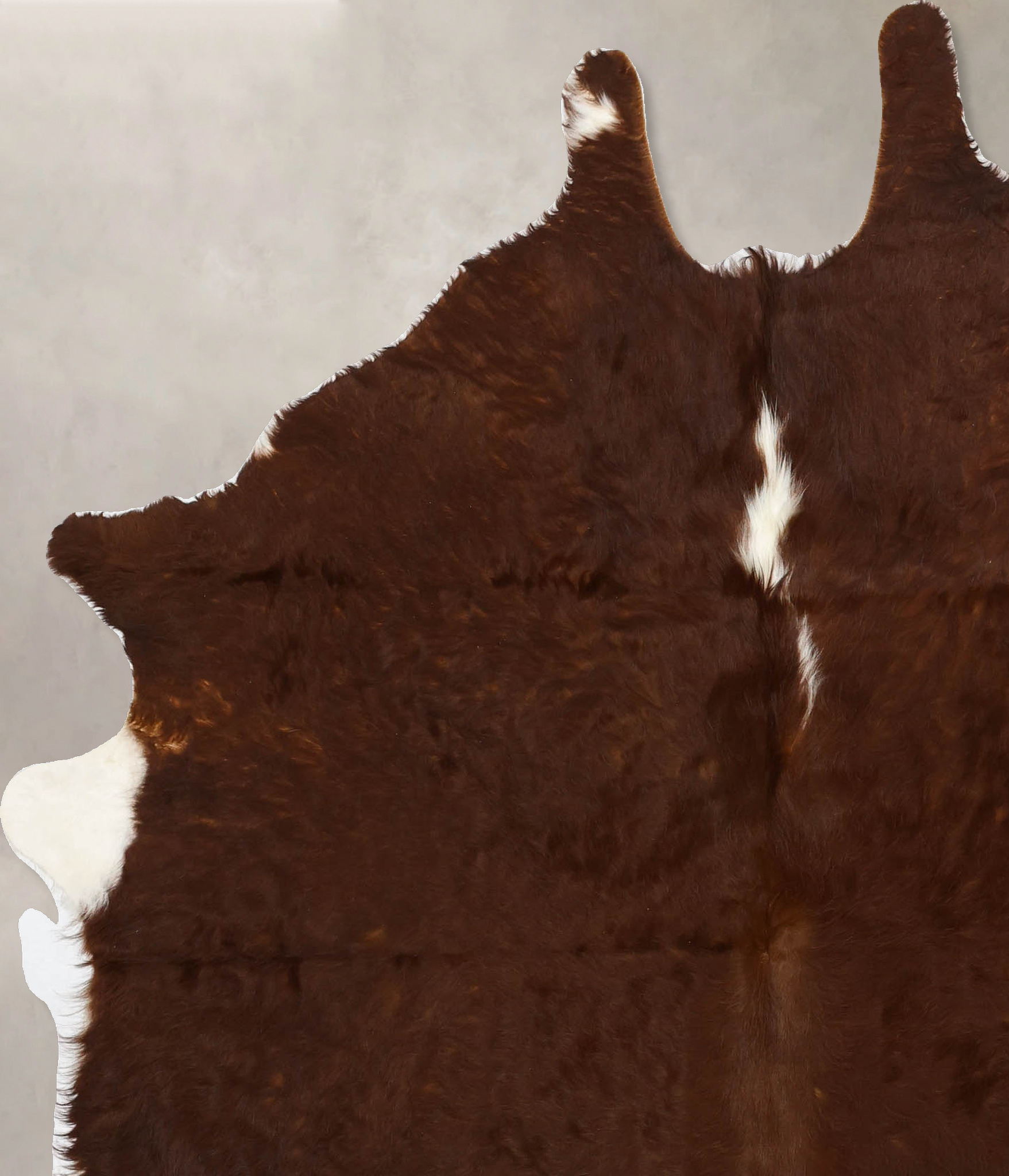 Brown and White Regular Cowhide Rug #B11186