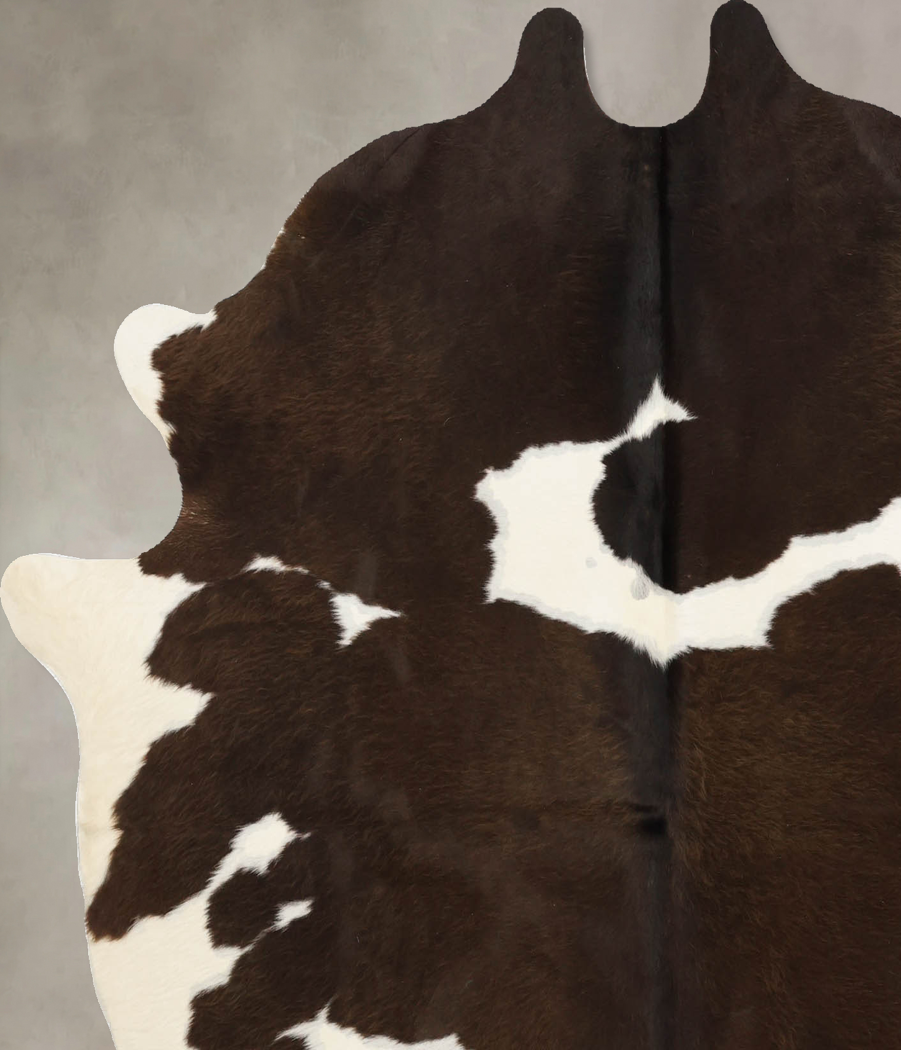 Chocolate and White Cowhide Rug #B11195