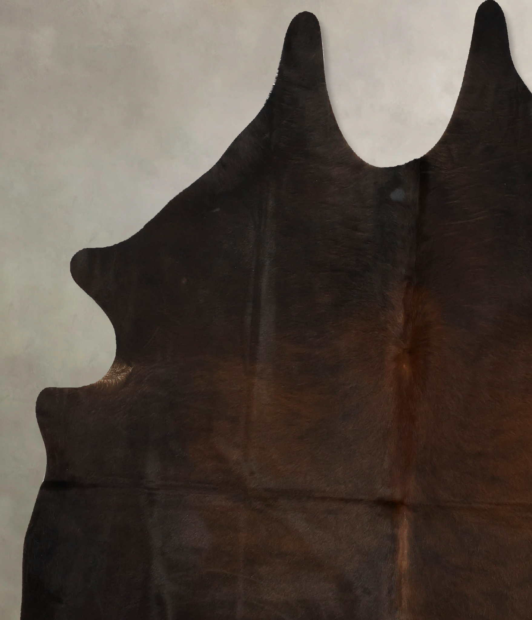 Chocolate Cowhide Rug #B11202