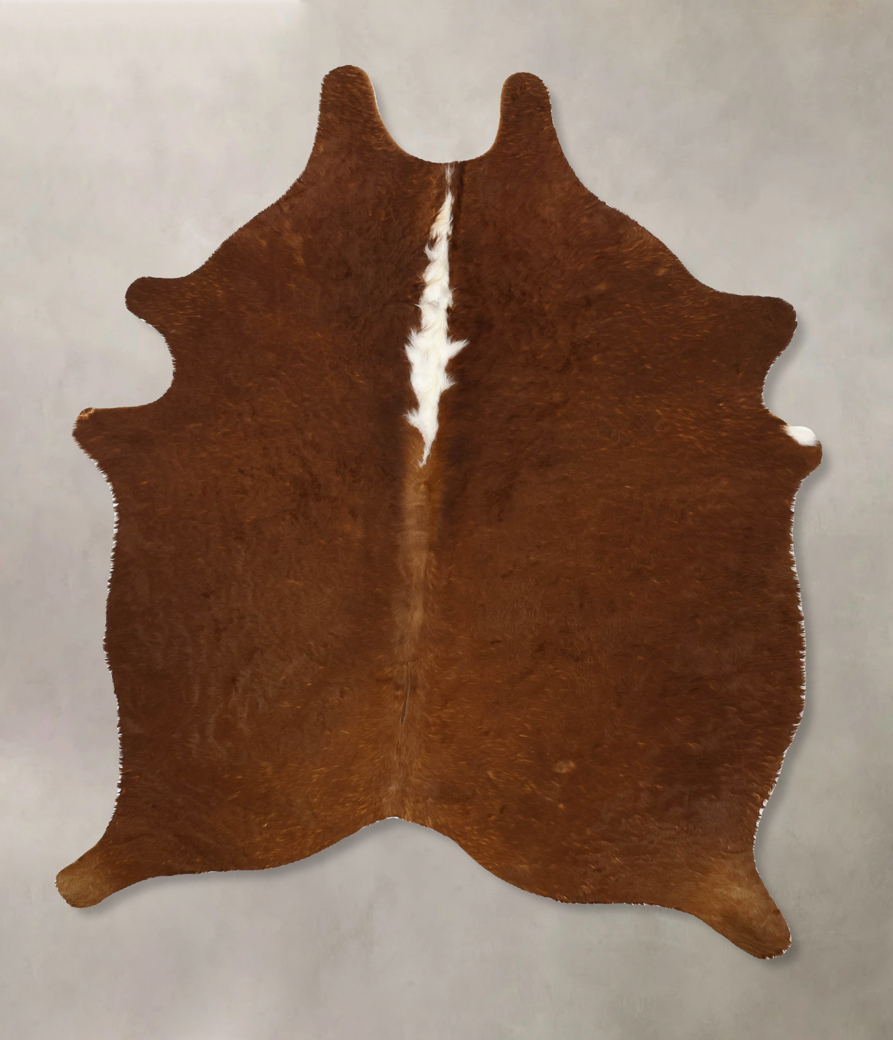 Brown and White Regular Cowhide Rug #B11208