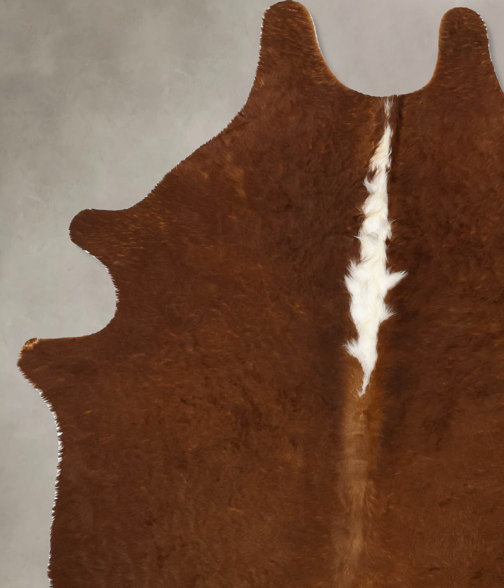 Brown and White Regular Cowhide Rug #B11208