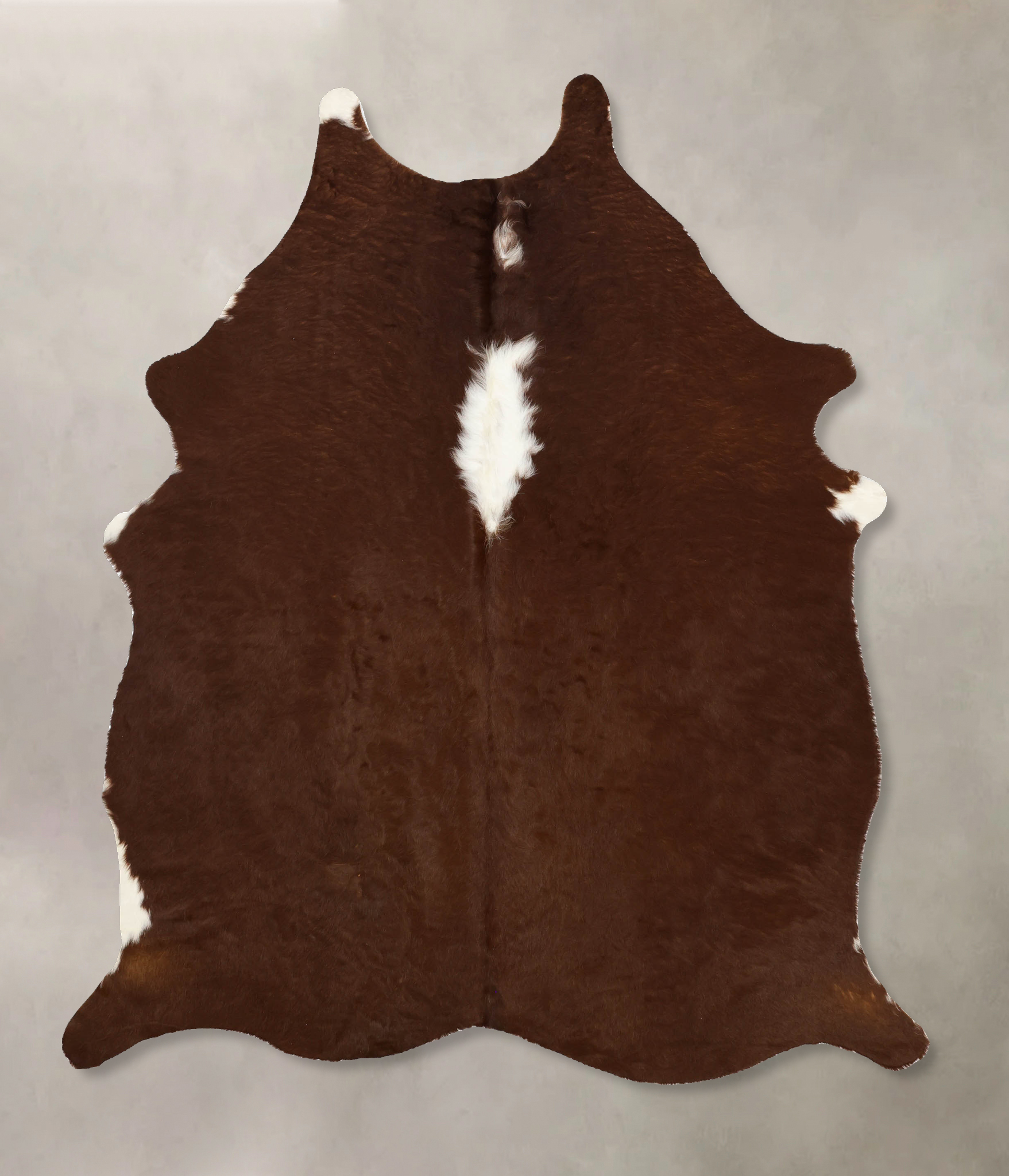 Brown and White Regular Cowhide Rug #B11209