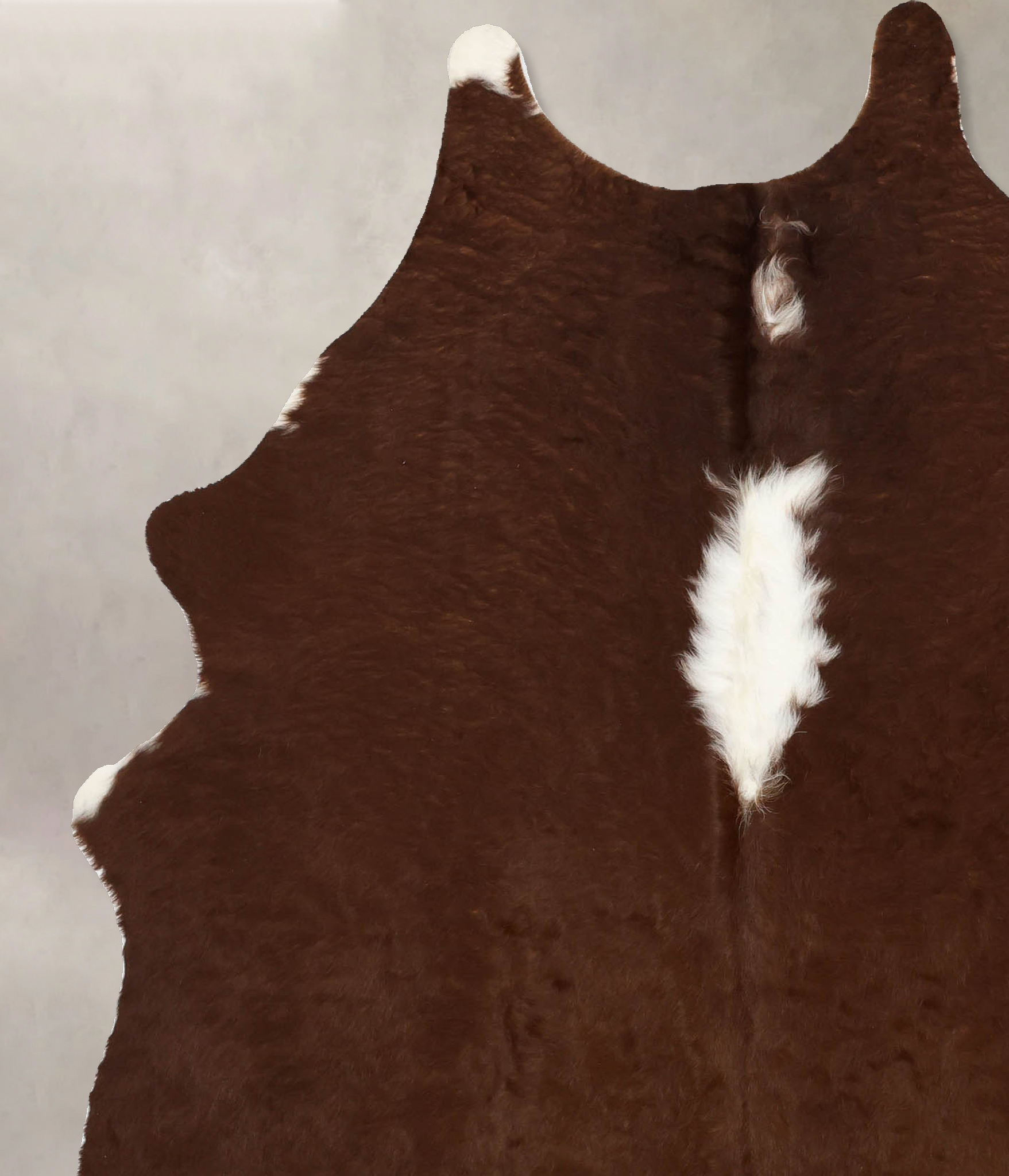 Brown and White Regular Cowhide Rug #B11209