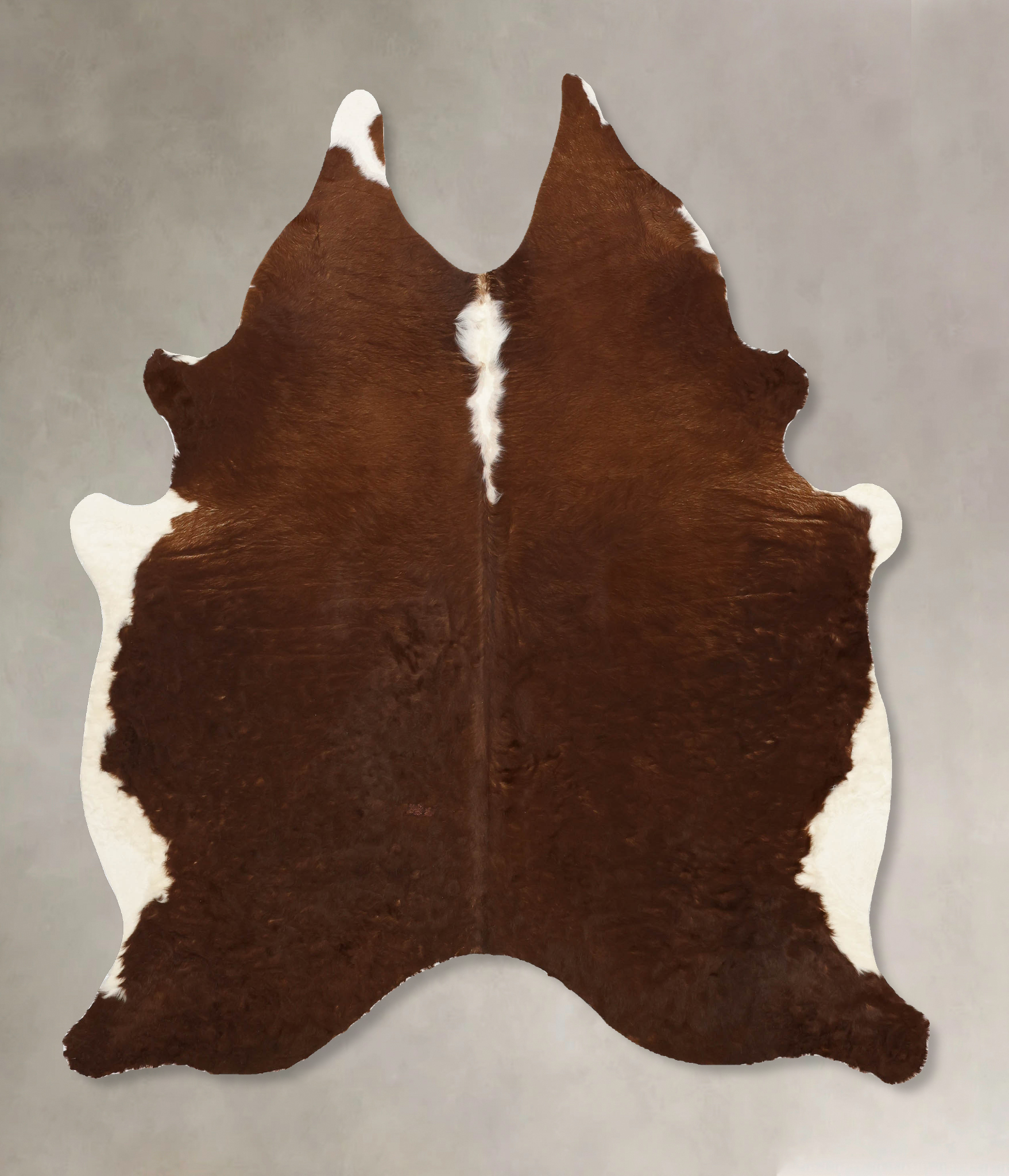 Brown and White Regular Cowhide Rug #B11210