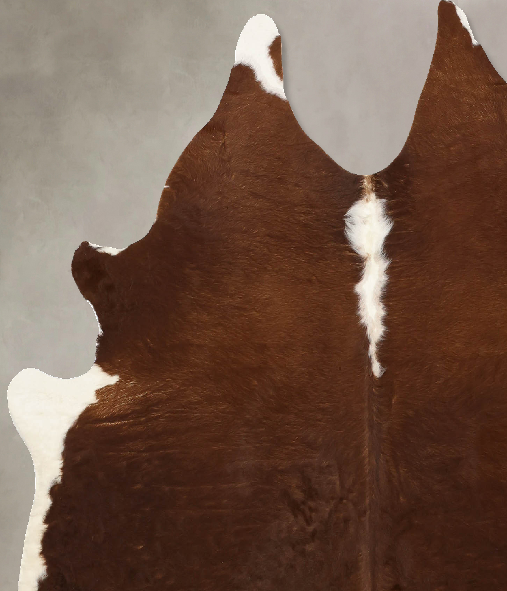 Brown and White Regular Cowhide Rug #B11210