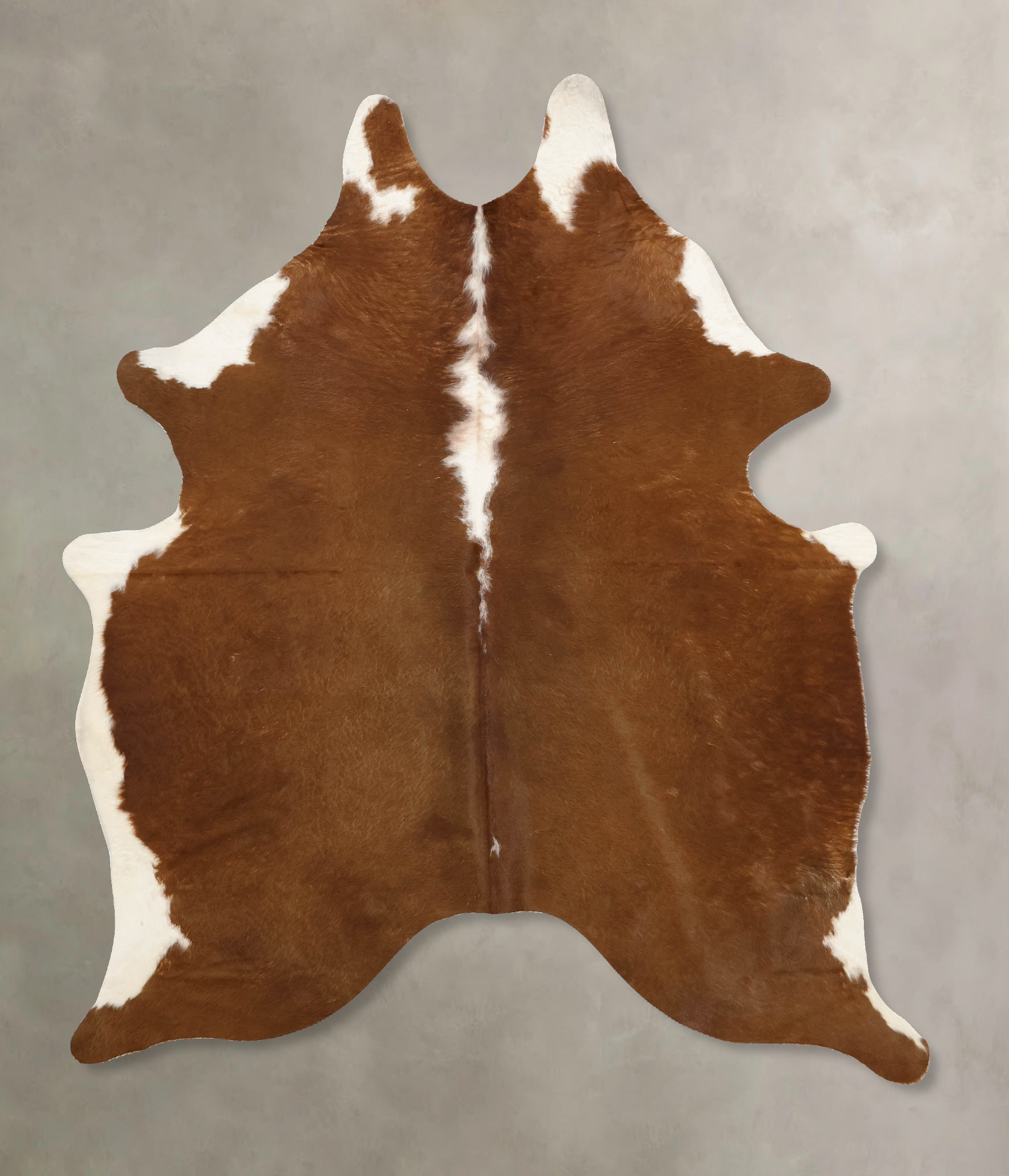 Brown and White Regular Cowhide Rug #B11212