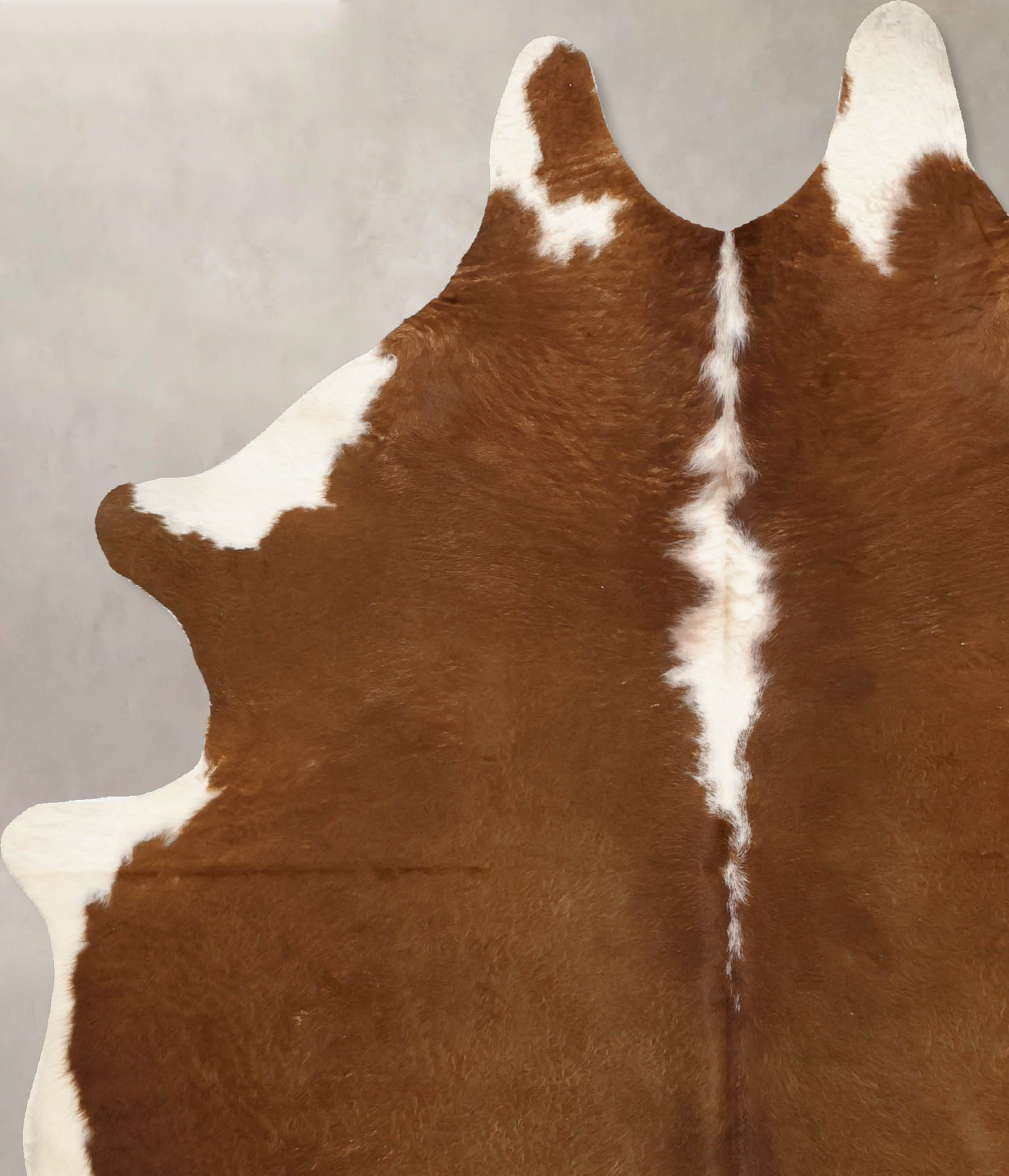 Brown and White Regular Cowhide Rug #B11212