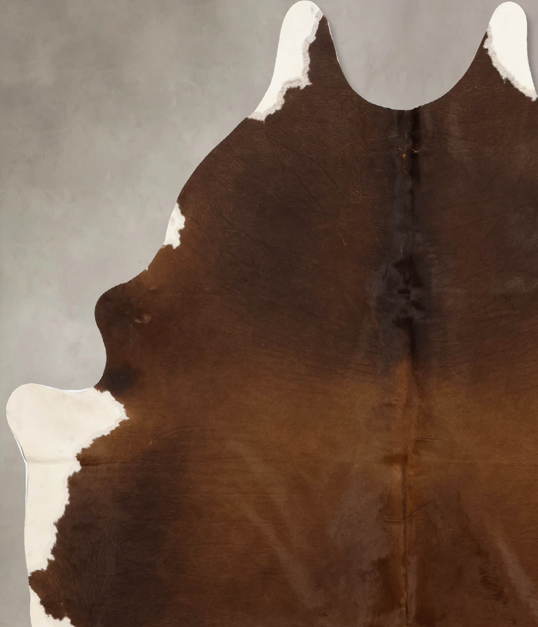 Brown and White Regular Cowhide Rug #B11217