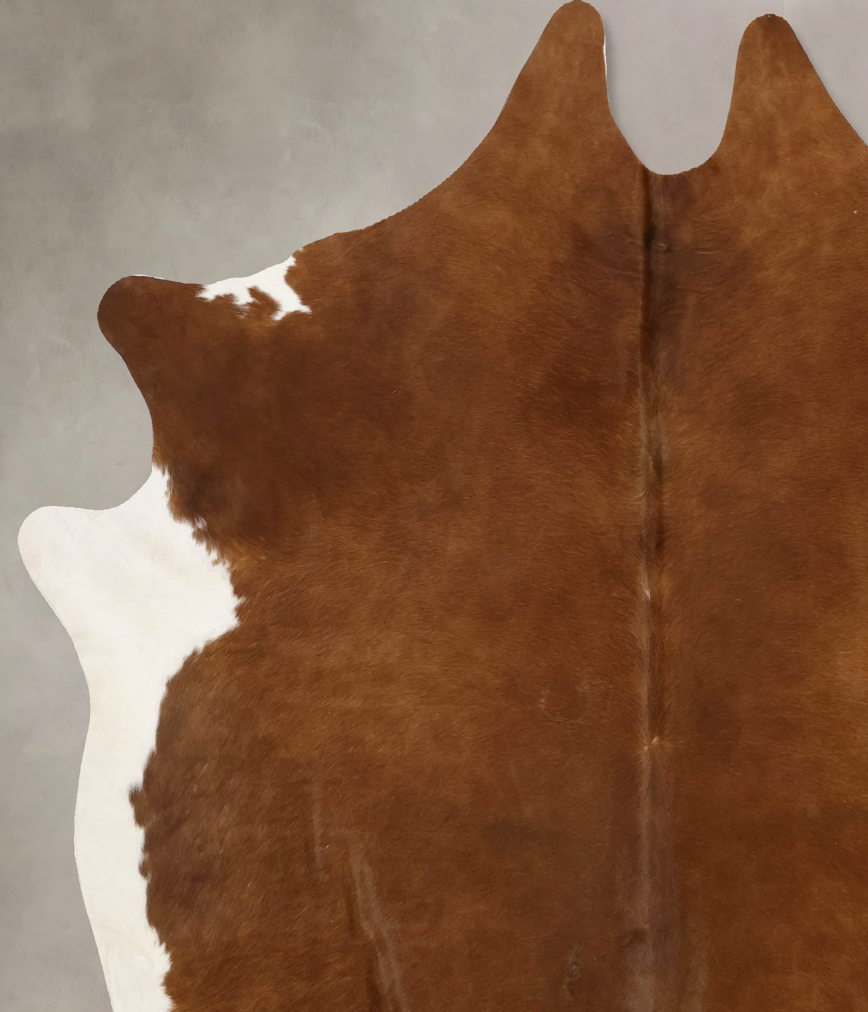 Brown and White Regular Cowhide Rug #B11220