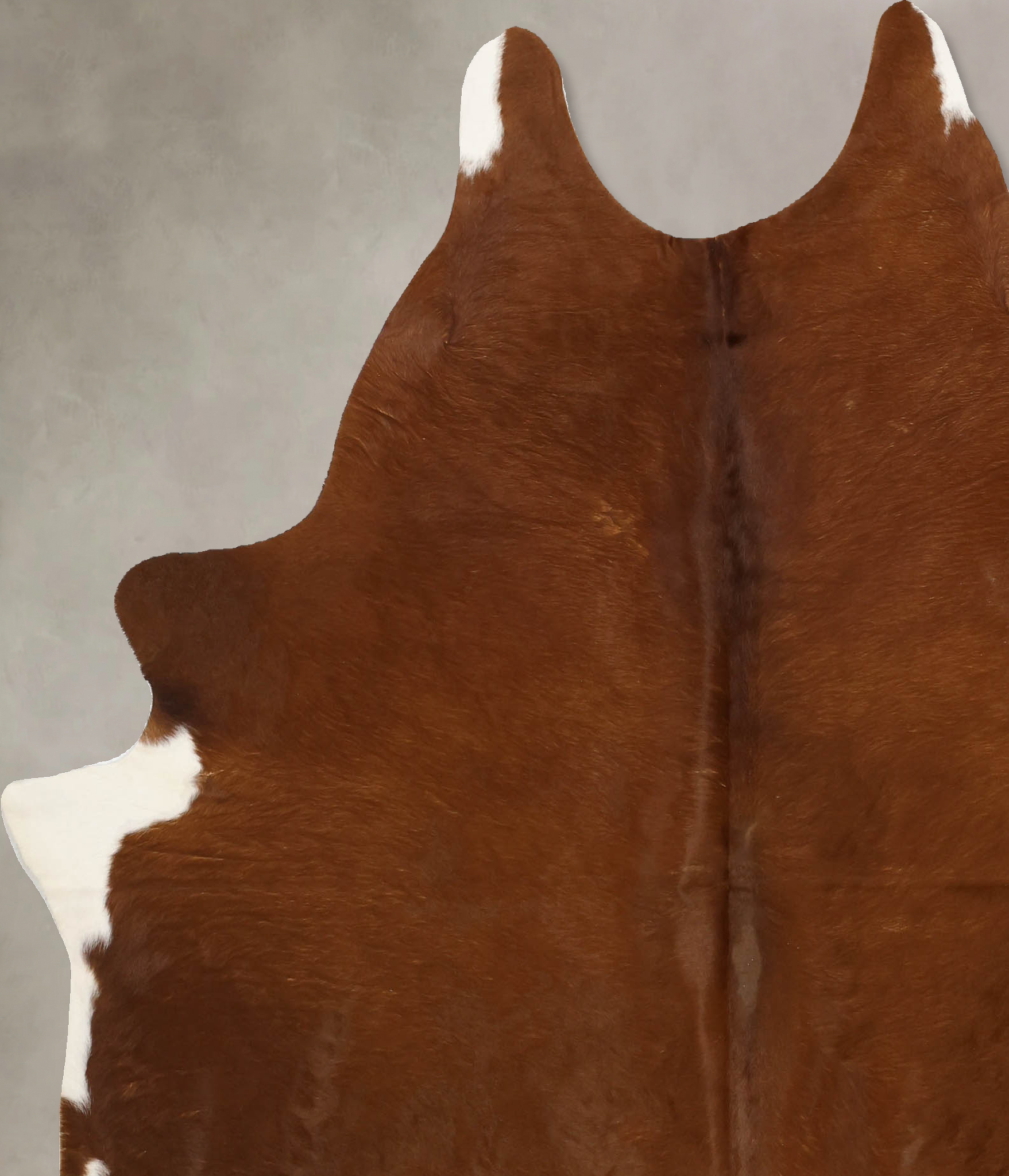 Solid Brown Cowhide Rug #B11230