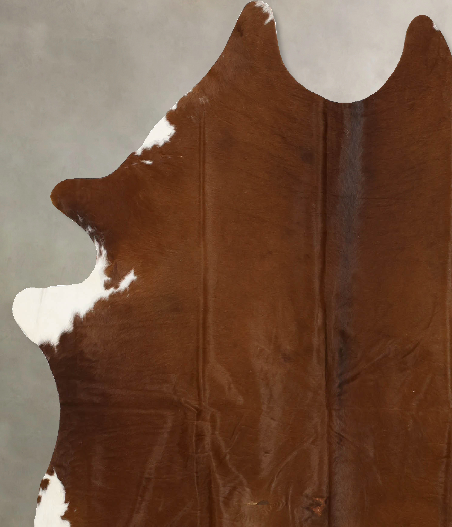 Solid Brown Cowhide Rug #B11231