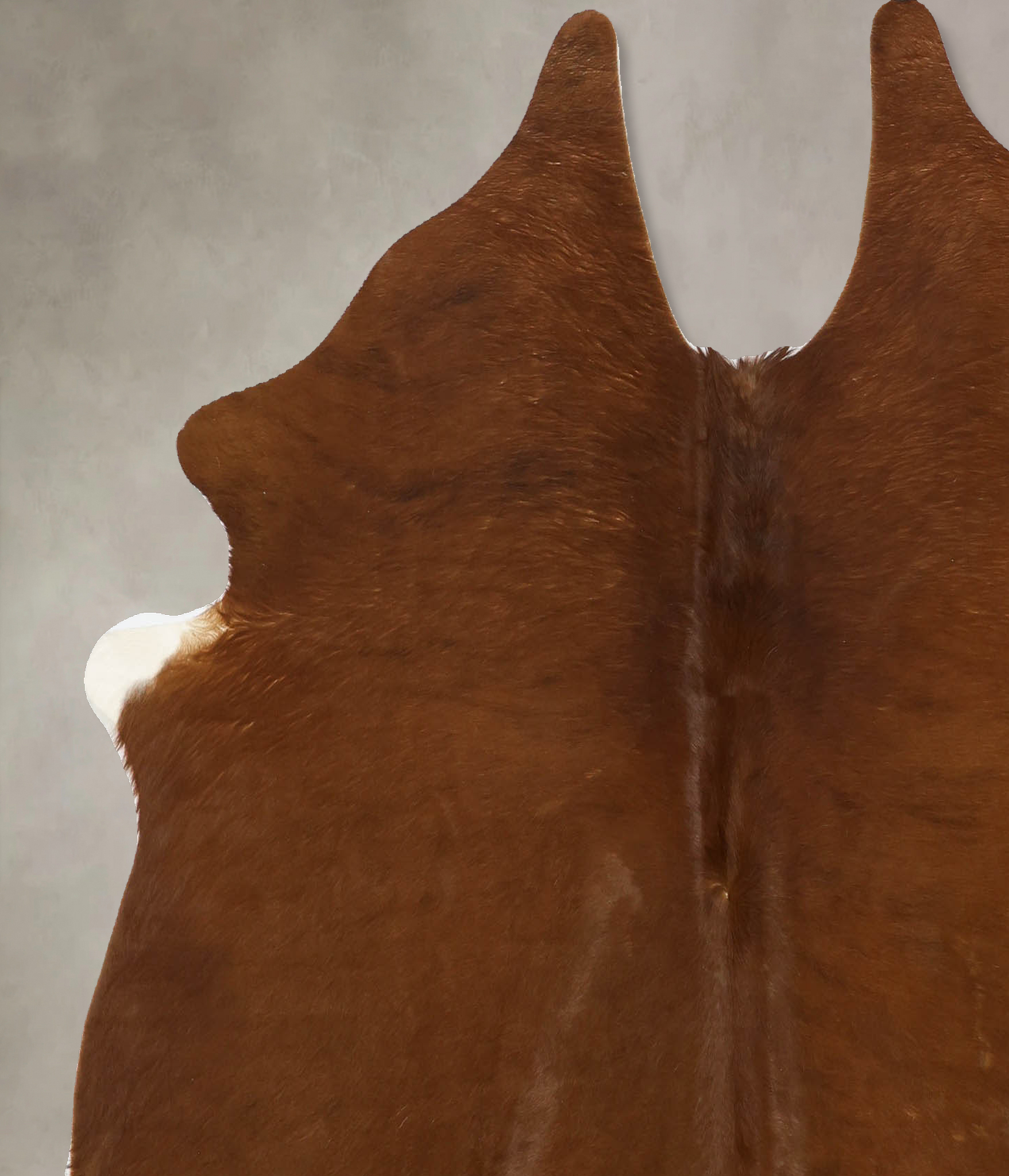 Solid Brown Cowhide Rug #B11252