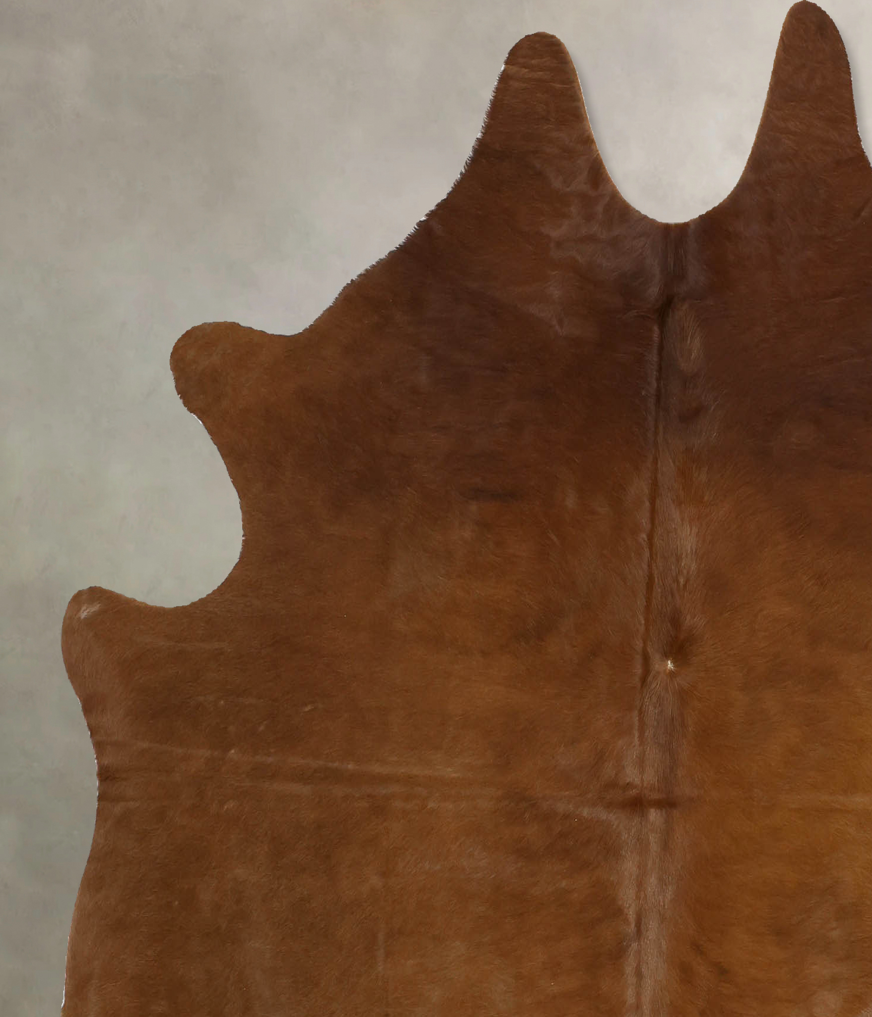 Solid Brown Cowhide Rug #B11260