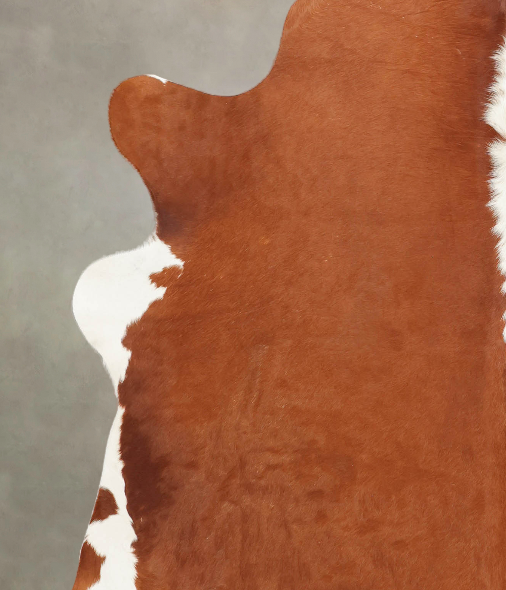 Hereford Cowhide Rug #B1127