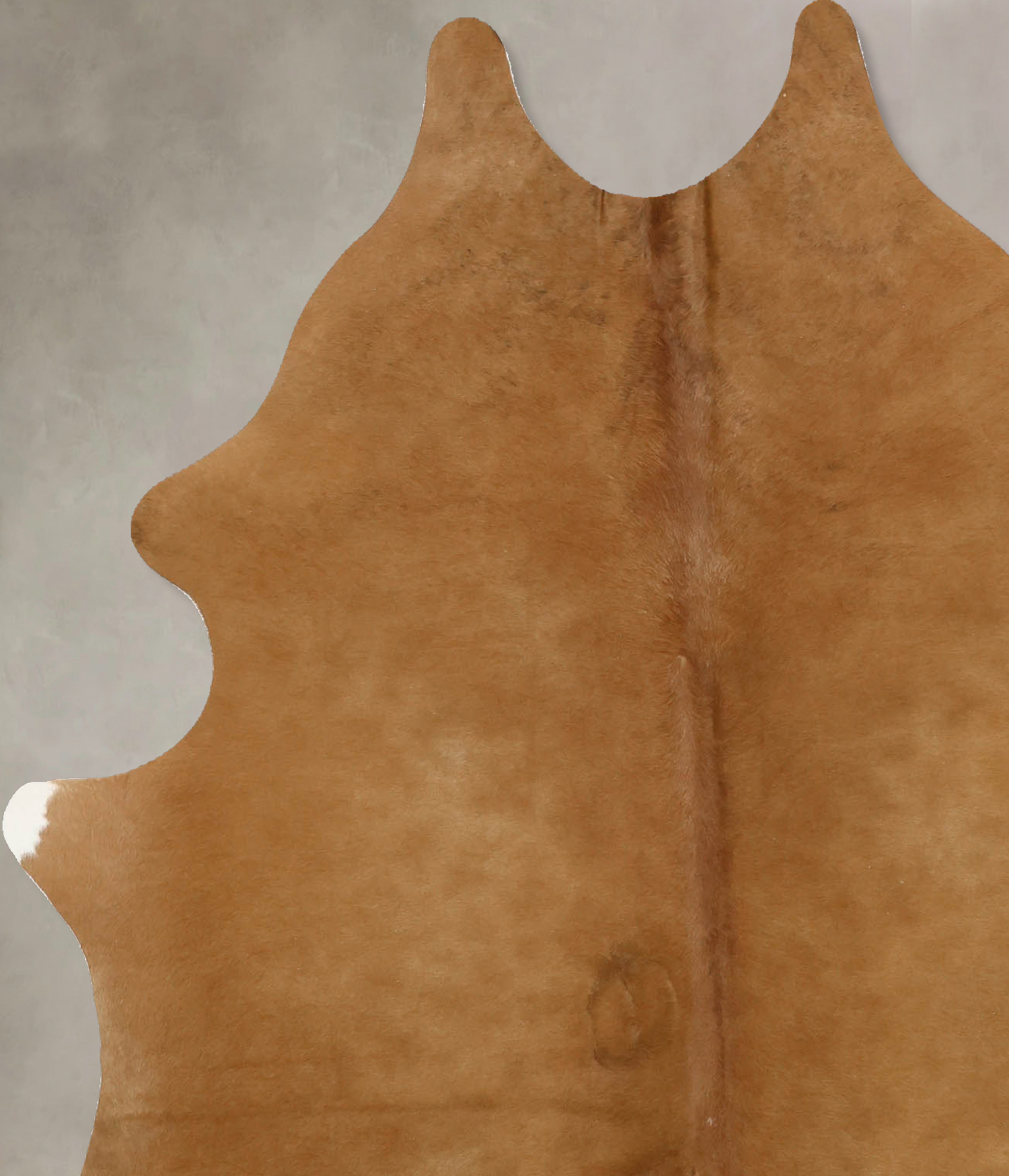 Solid Brown Cowhide Rug #B11300