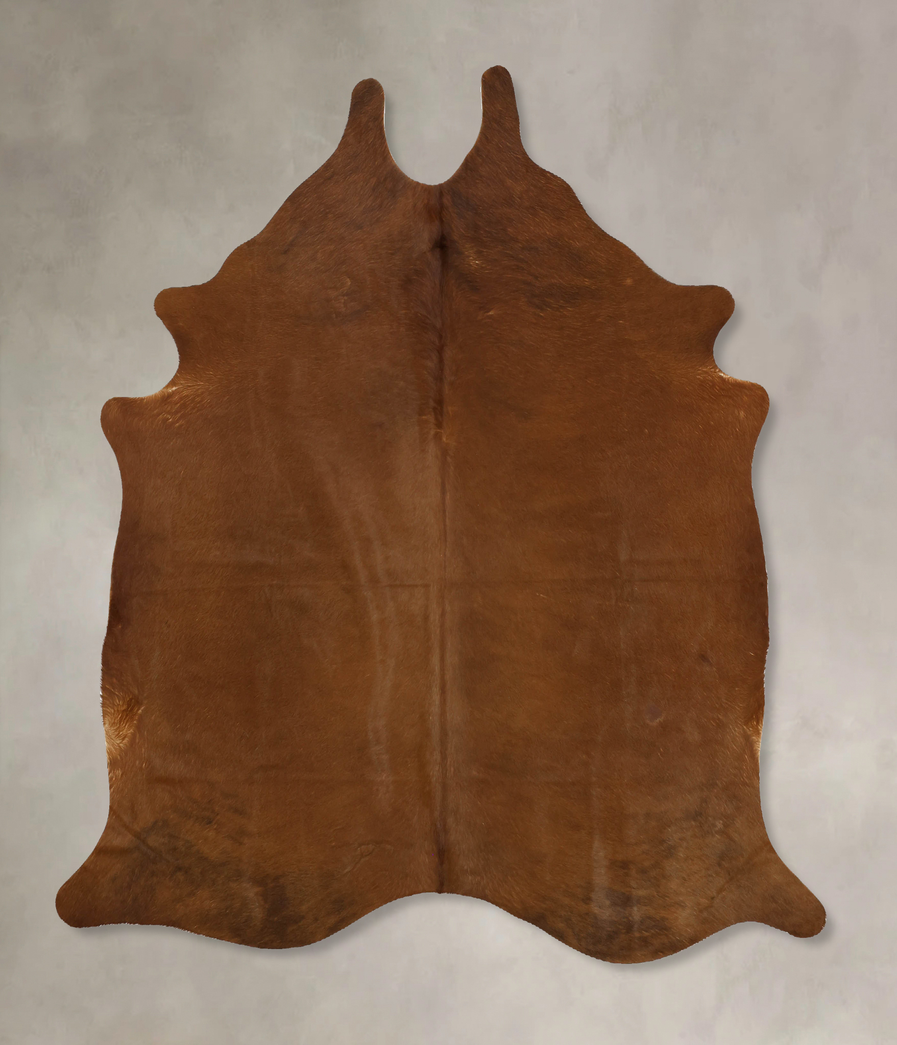 Solid Brown Cowhide Rug #B11301