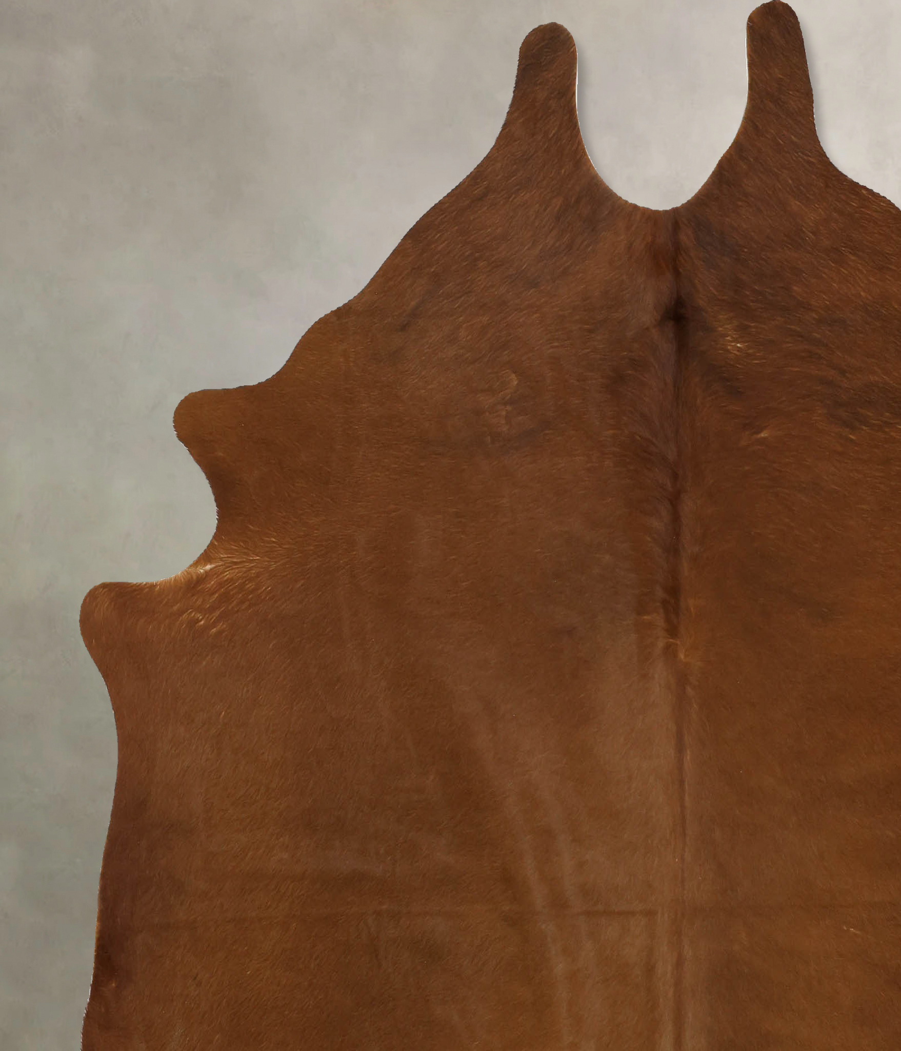 Solid Brown Cowhide Rug #B11301