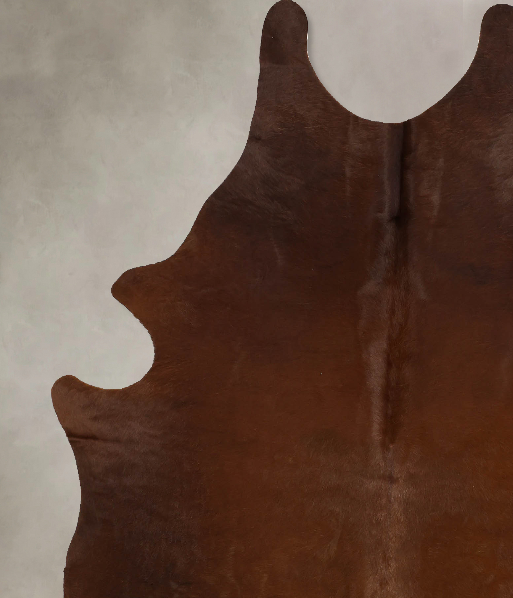 Solid Brown Cowhide Rug #B11302