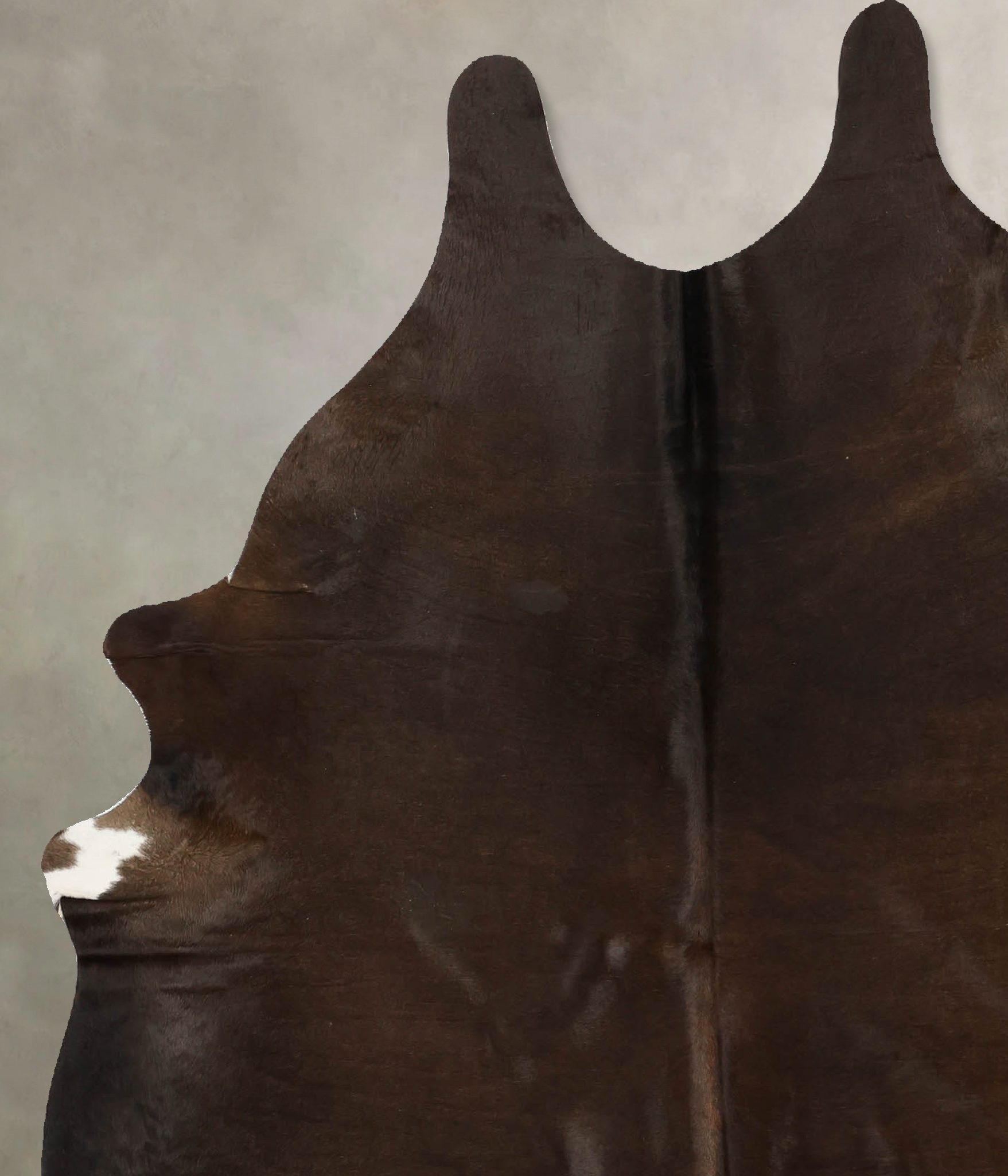 Chocolate Cowhide Rug #B11308