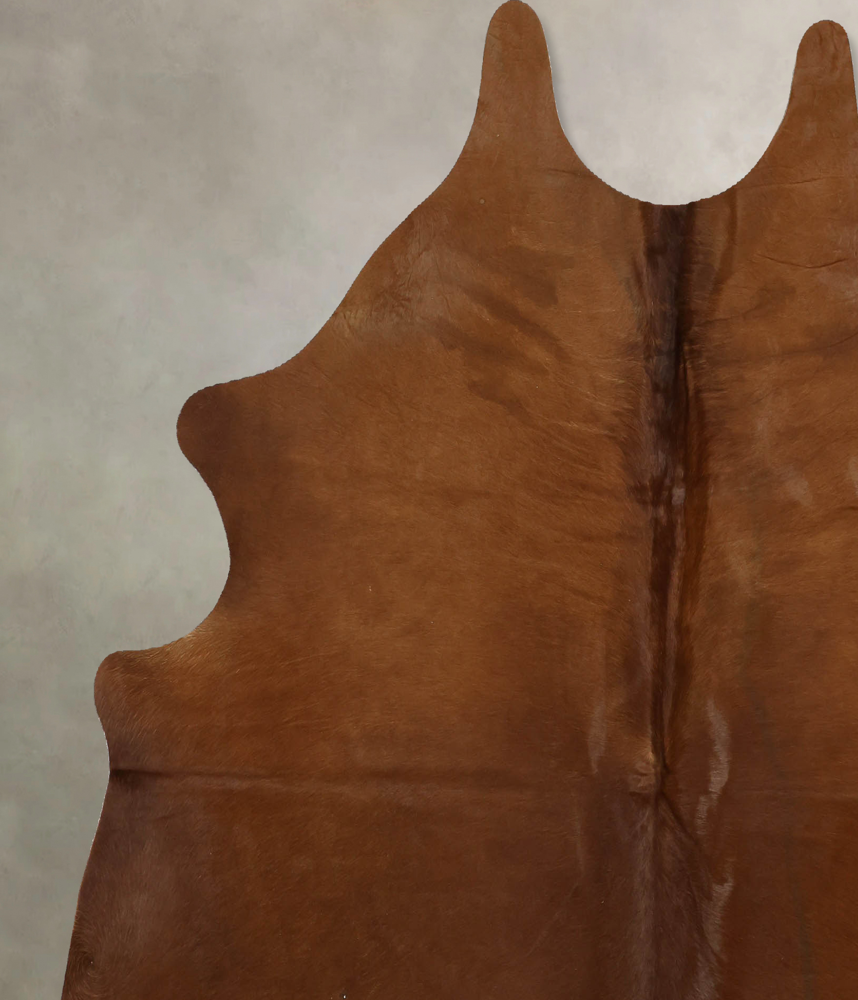 Solid Brown Cowhide Rug #B11311