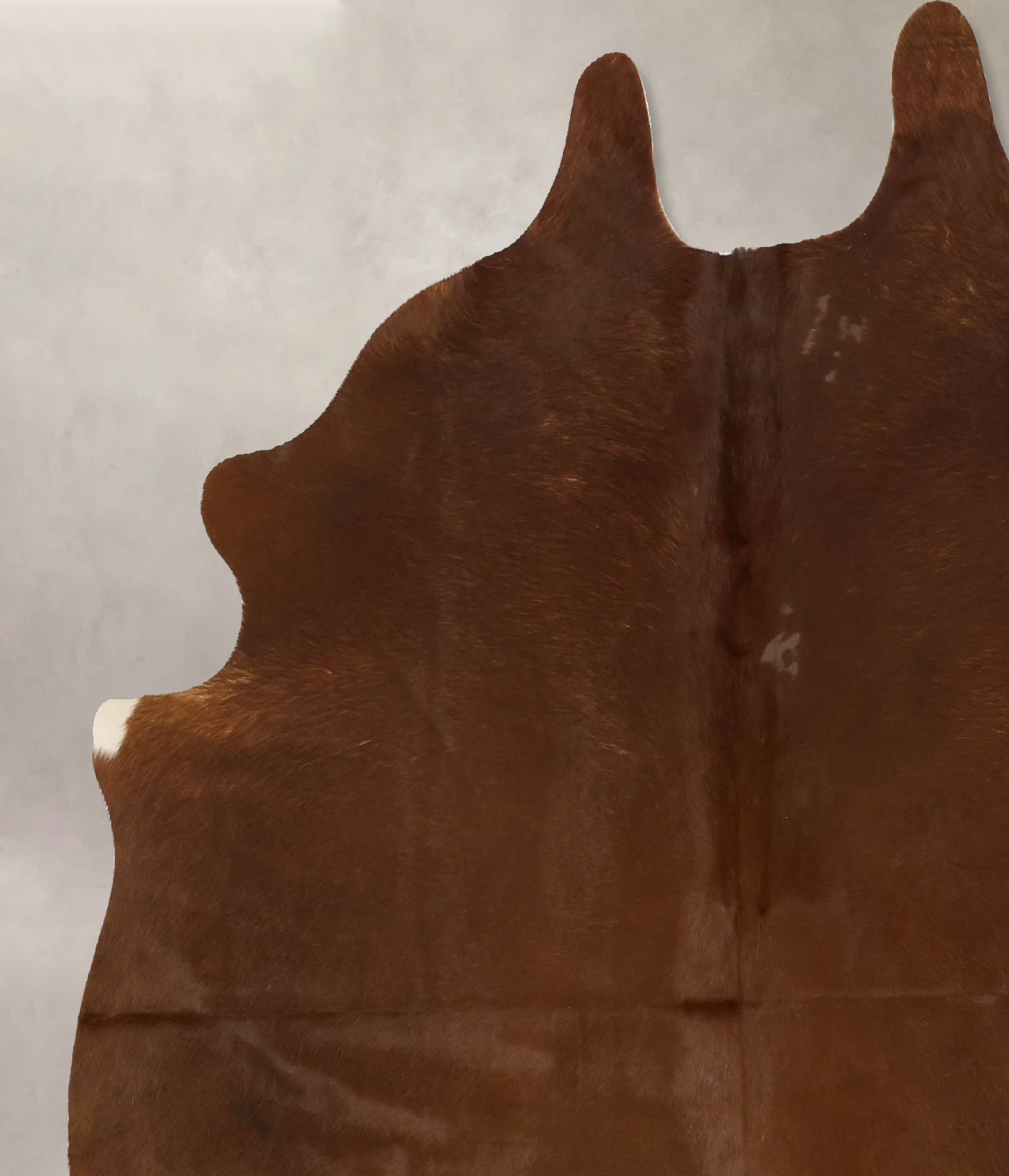 Solid Brown Cowhide Rug #B11317