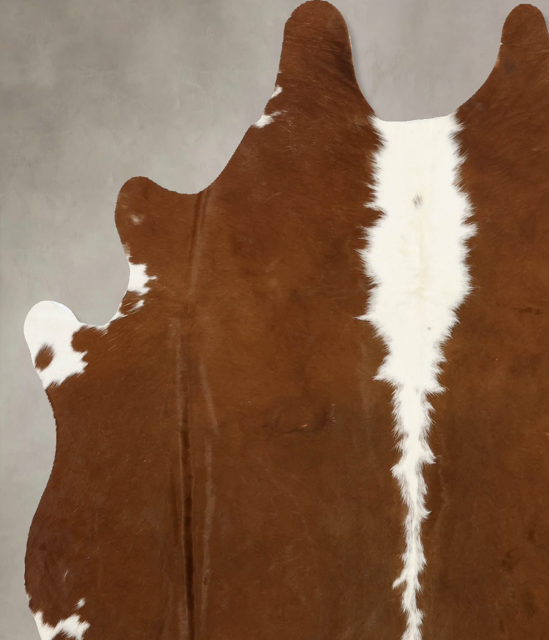 Brown and White Regular Cowhide Rug #B11343