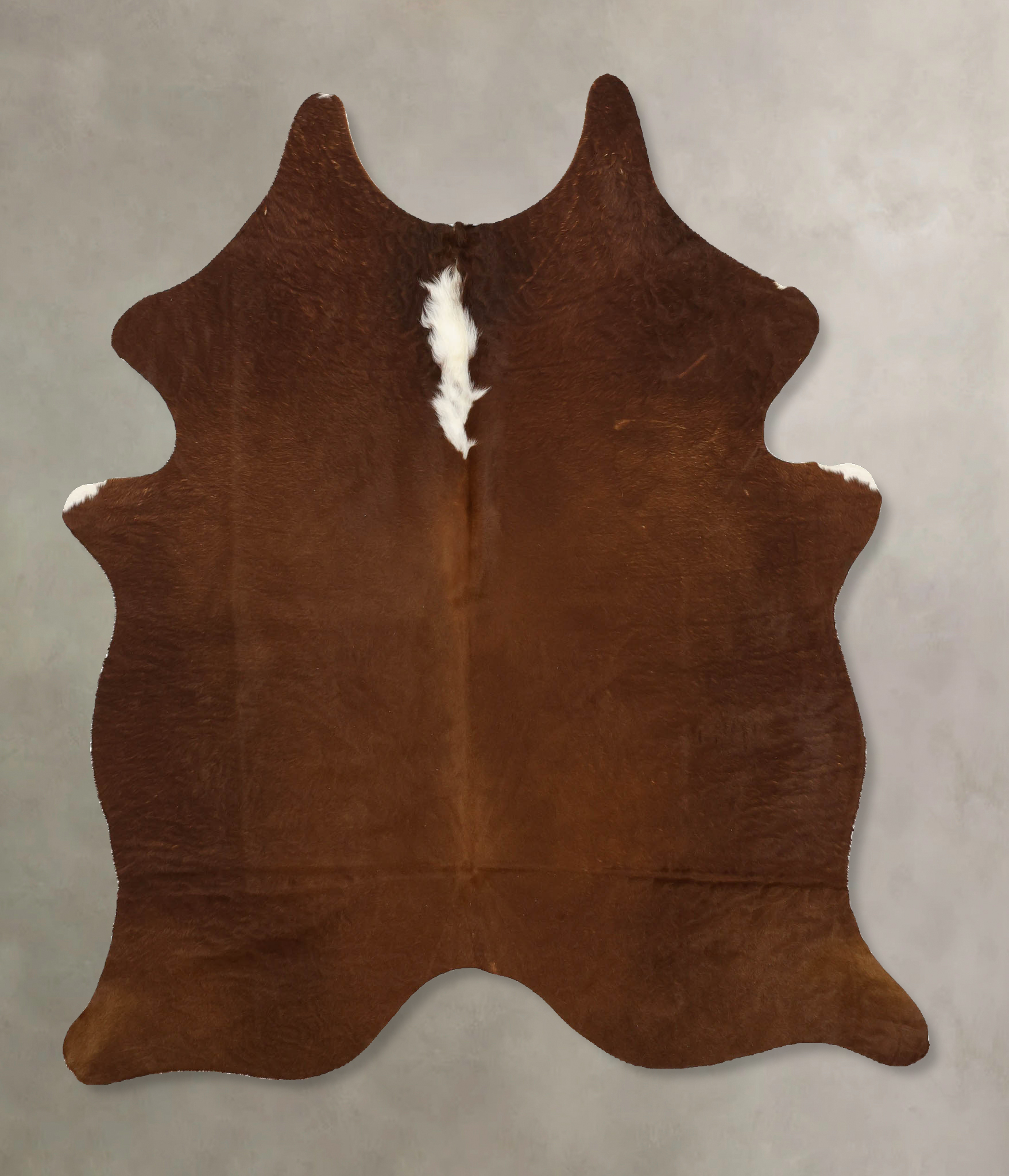 Brown and White Regular Cowhide Rug #B11344