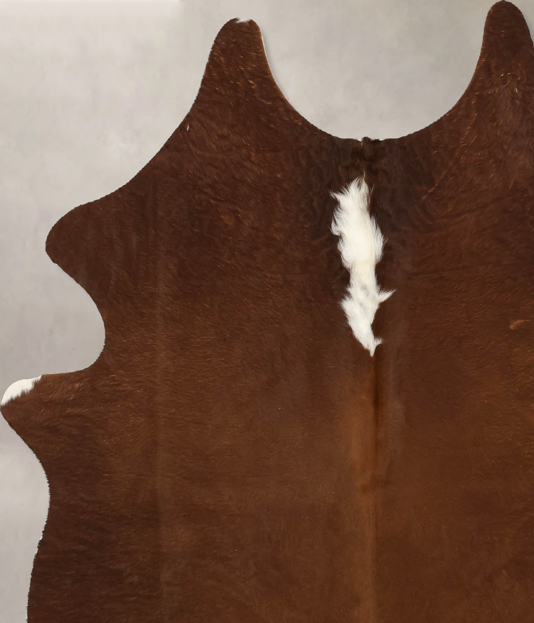 Brown and White Regular Cowhide Rug #B11344