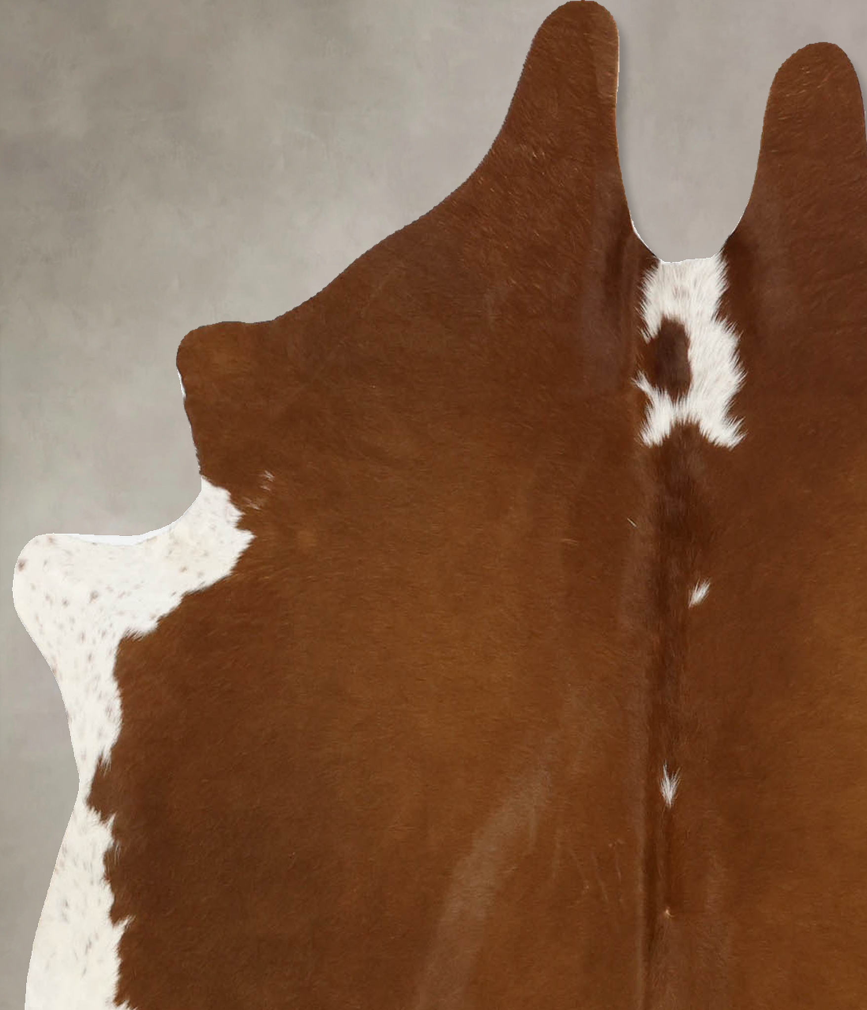 Brown and White Regular Cowhide Rug #B11345