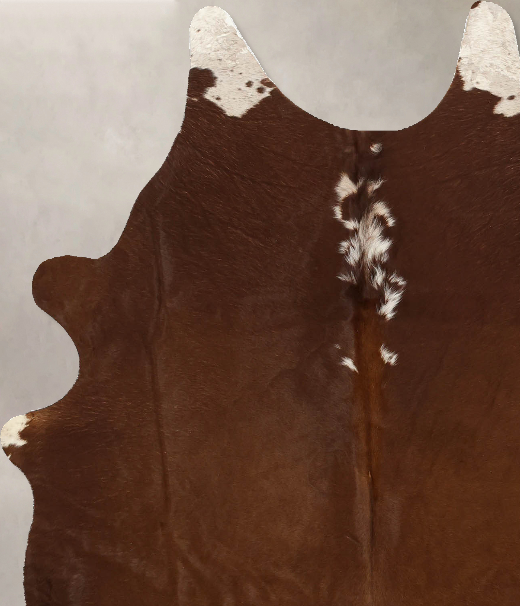 Brown and White Regular Cowhide Rug #B11348