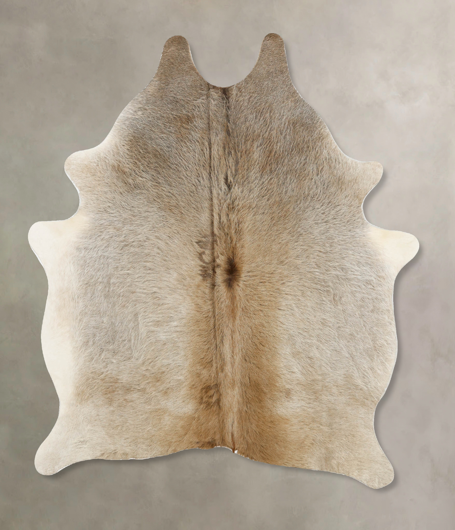 Grey with Beige Cowhide Rug #B11350