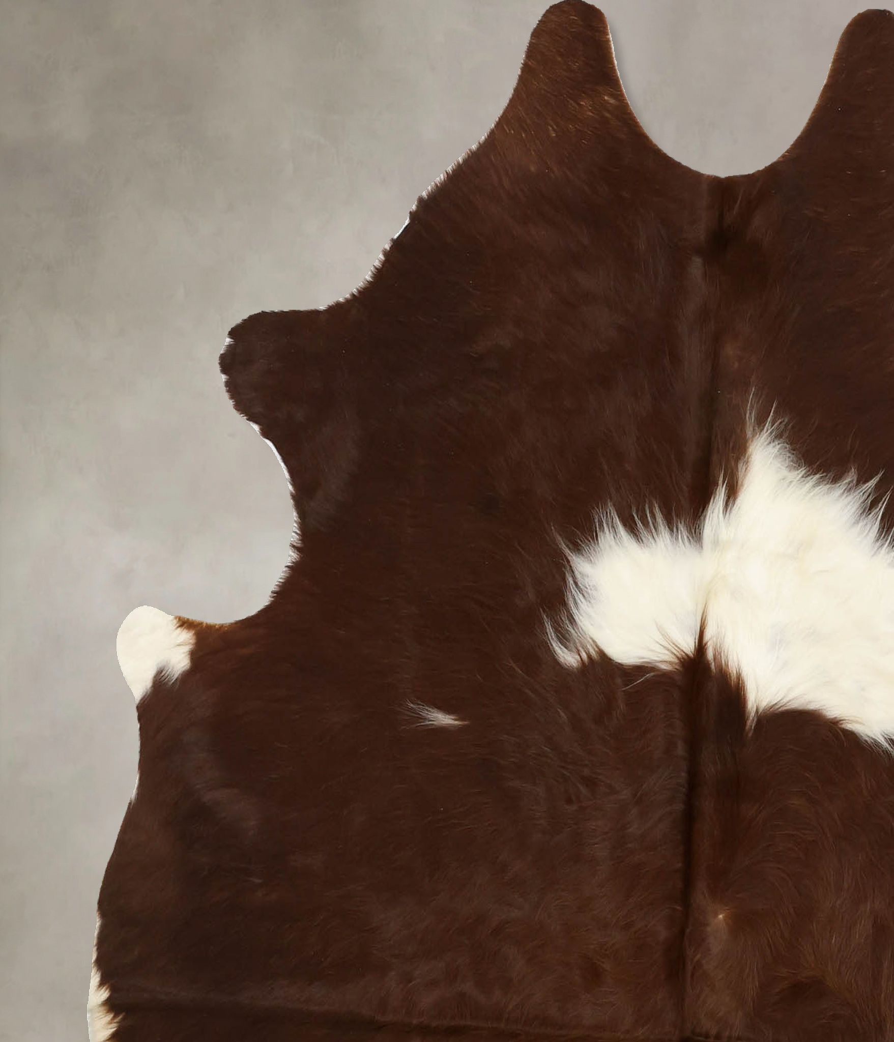 Brown and White Cowhide Rug #B11399