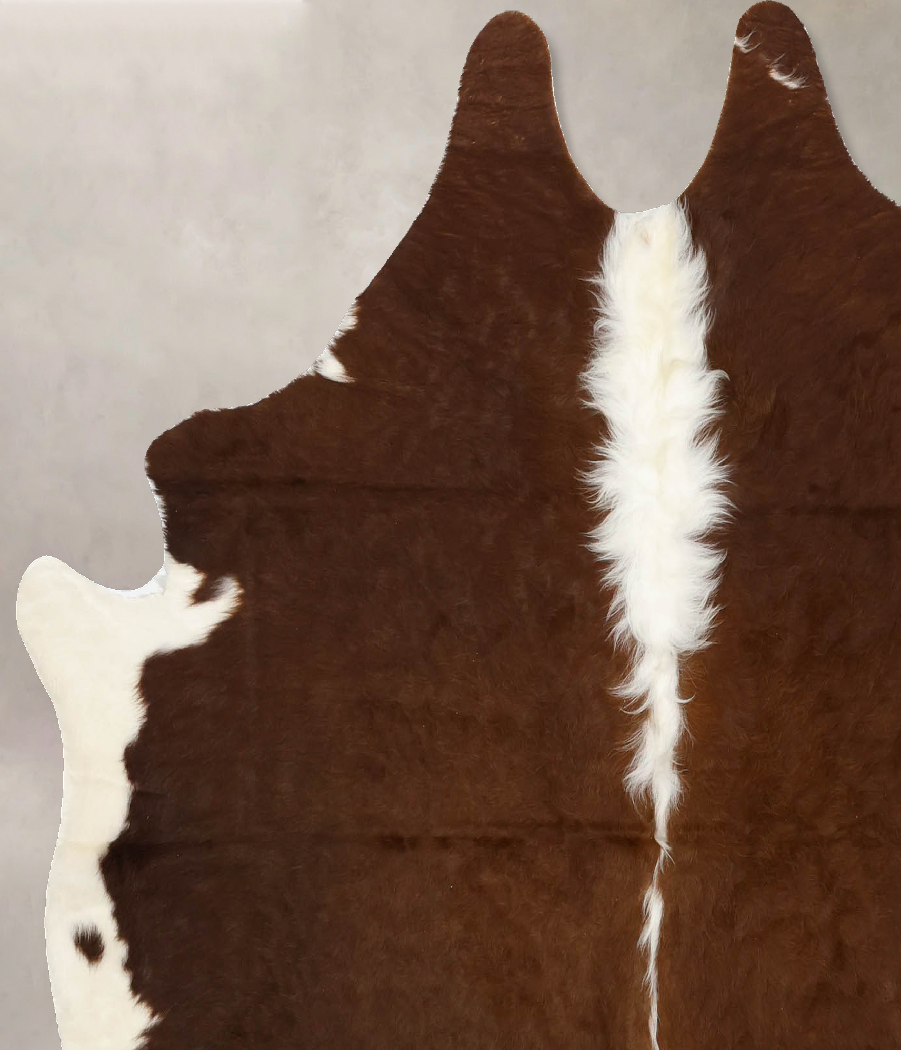 Brown and White Regular Cowhide Rug #B11405