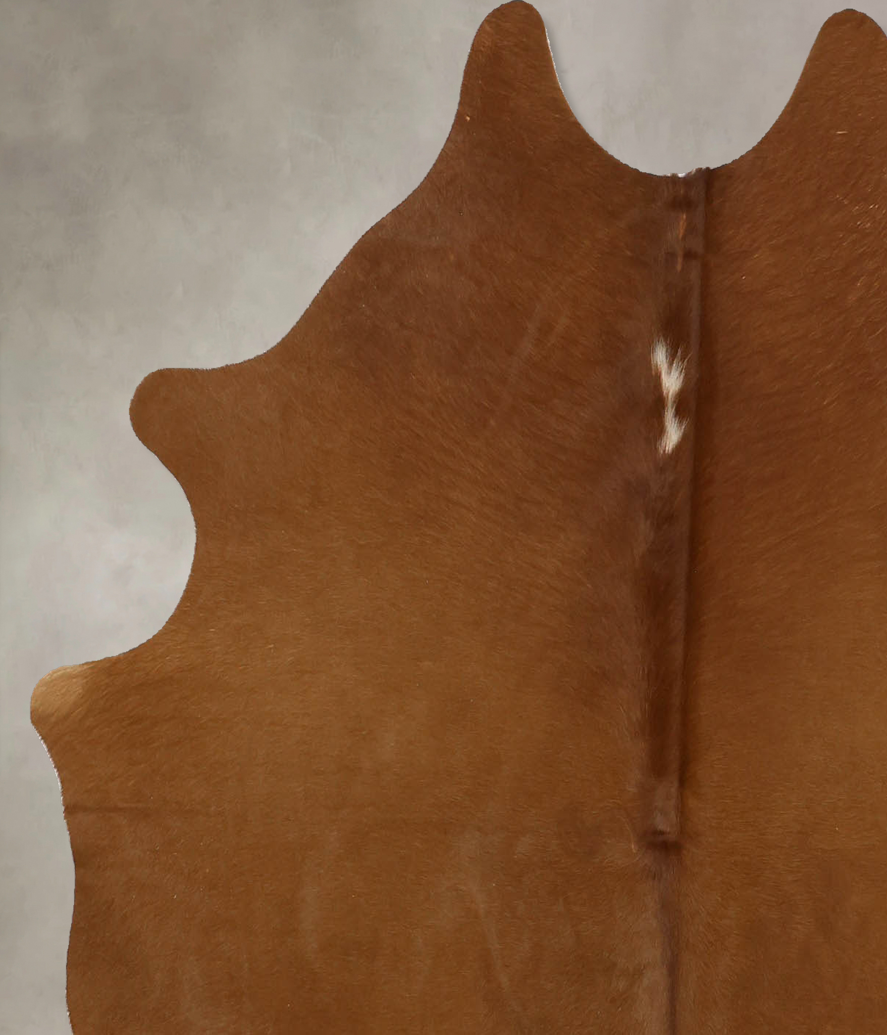 Solid Brown Cowhide Rug #B11406