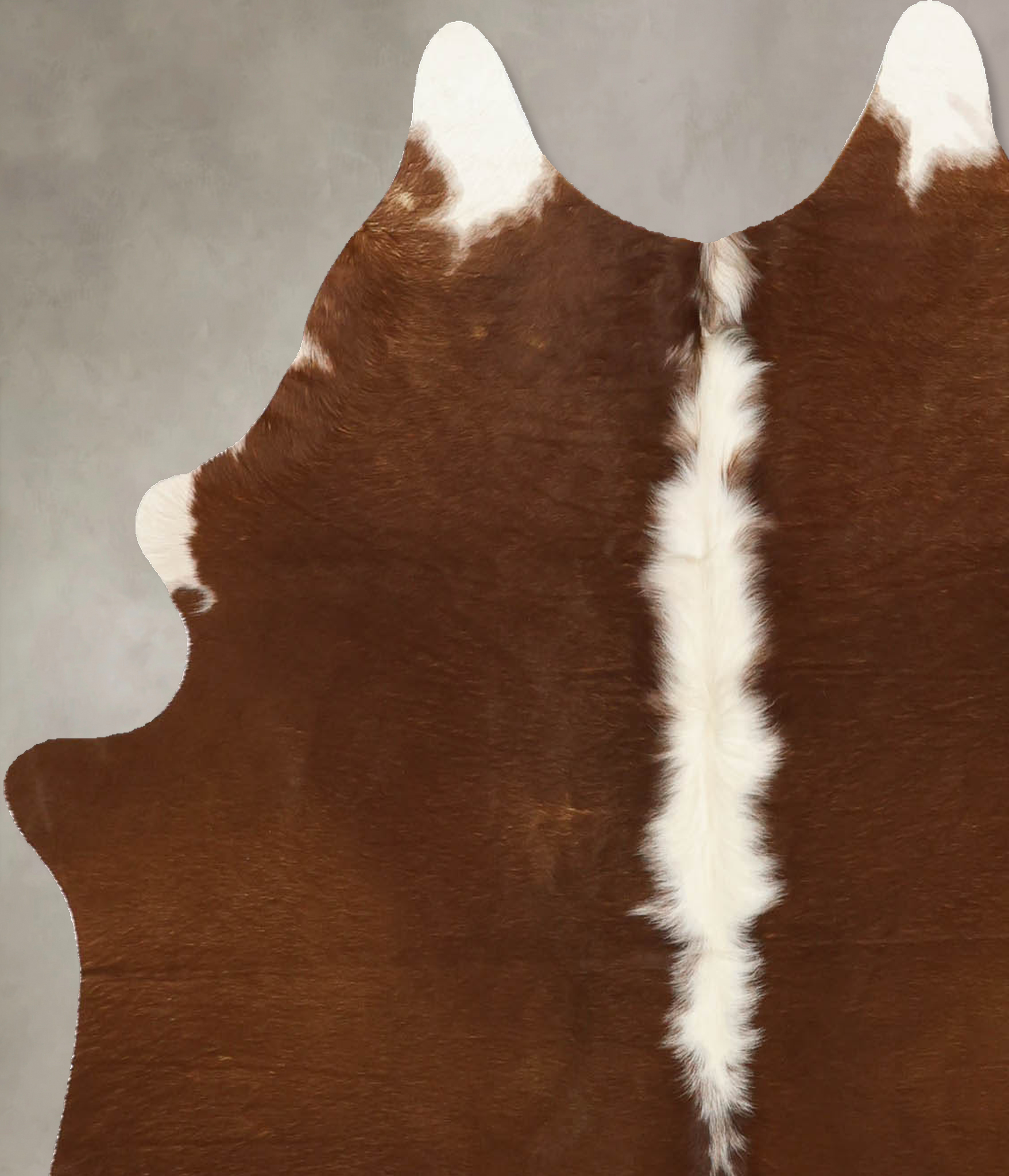 Brown and White Regular Cowhide Rug #B11407