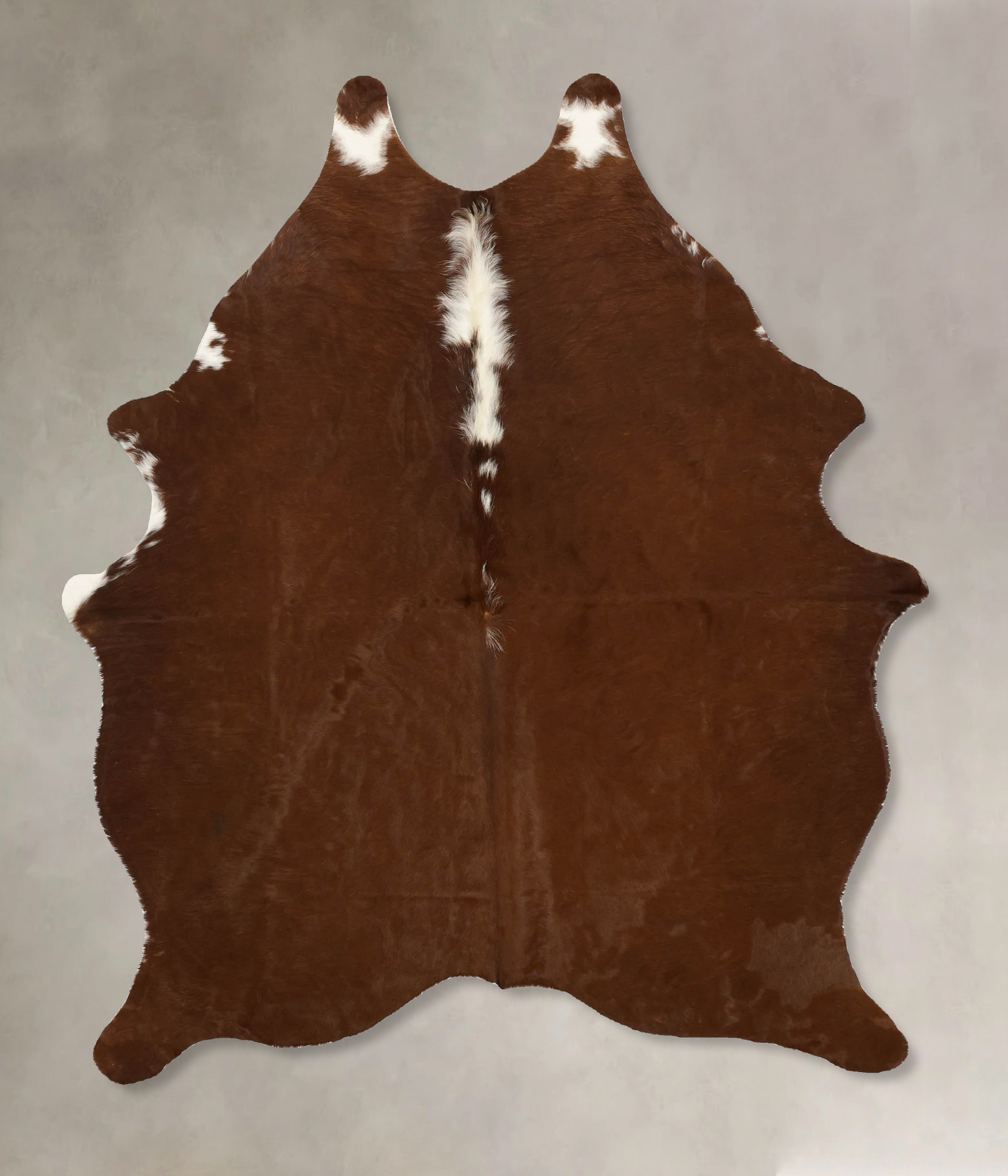 Brown and White Regular Cowhide Rug #B11408