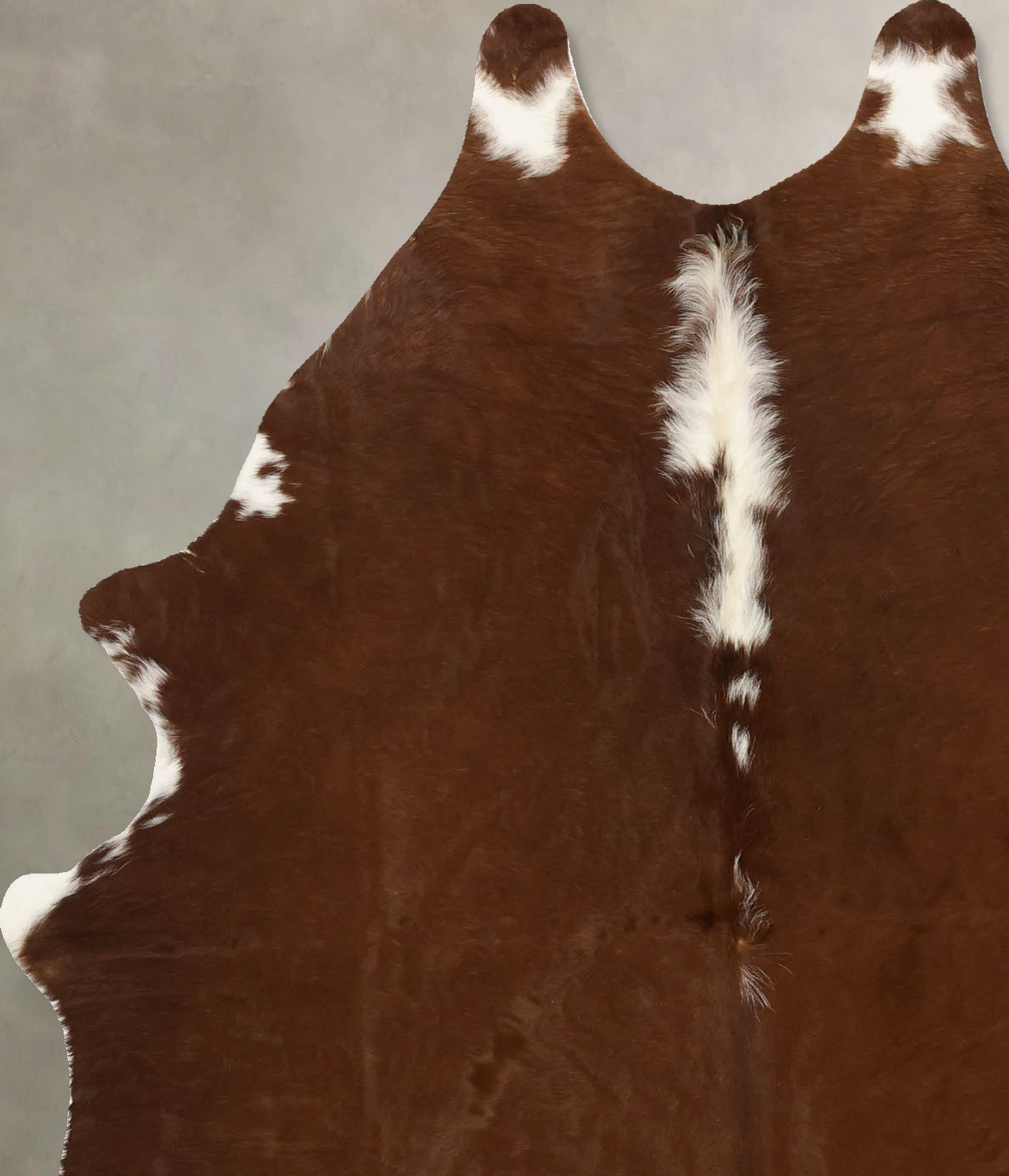 Brown and White Regular Cowhide Rug #B11408