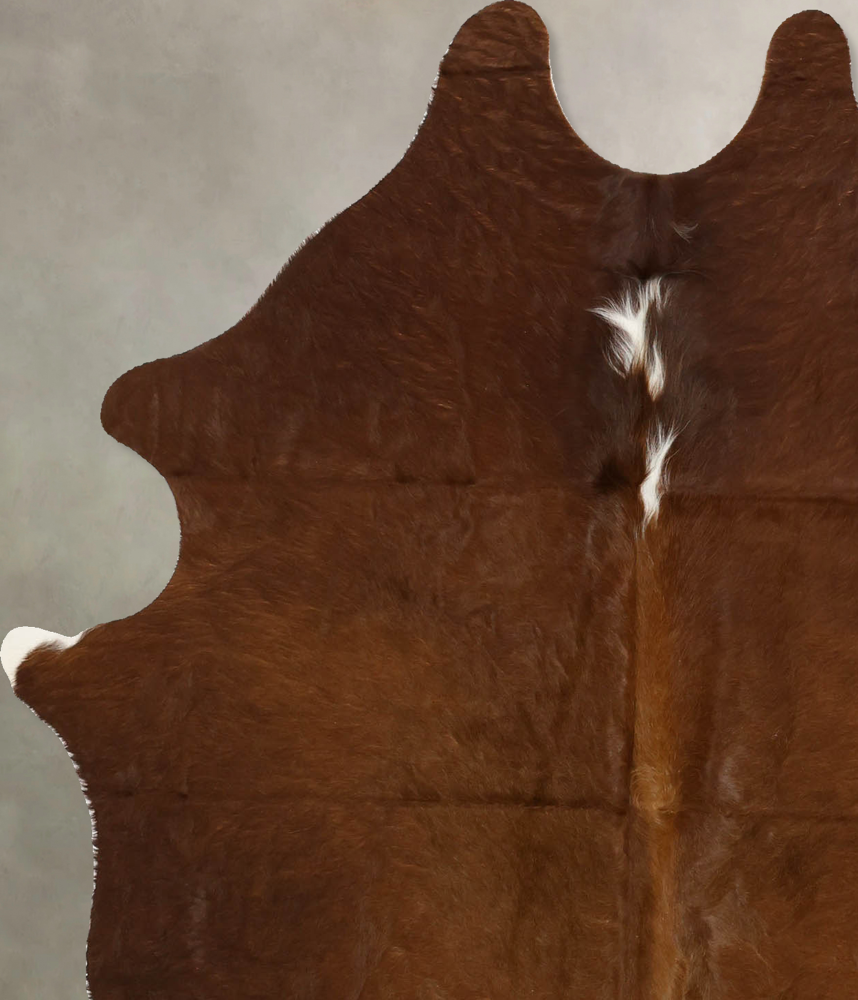 Solid Brown Cowhide Rug #B11409