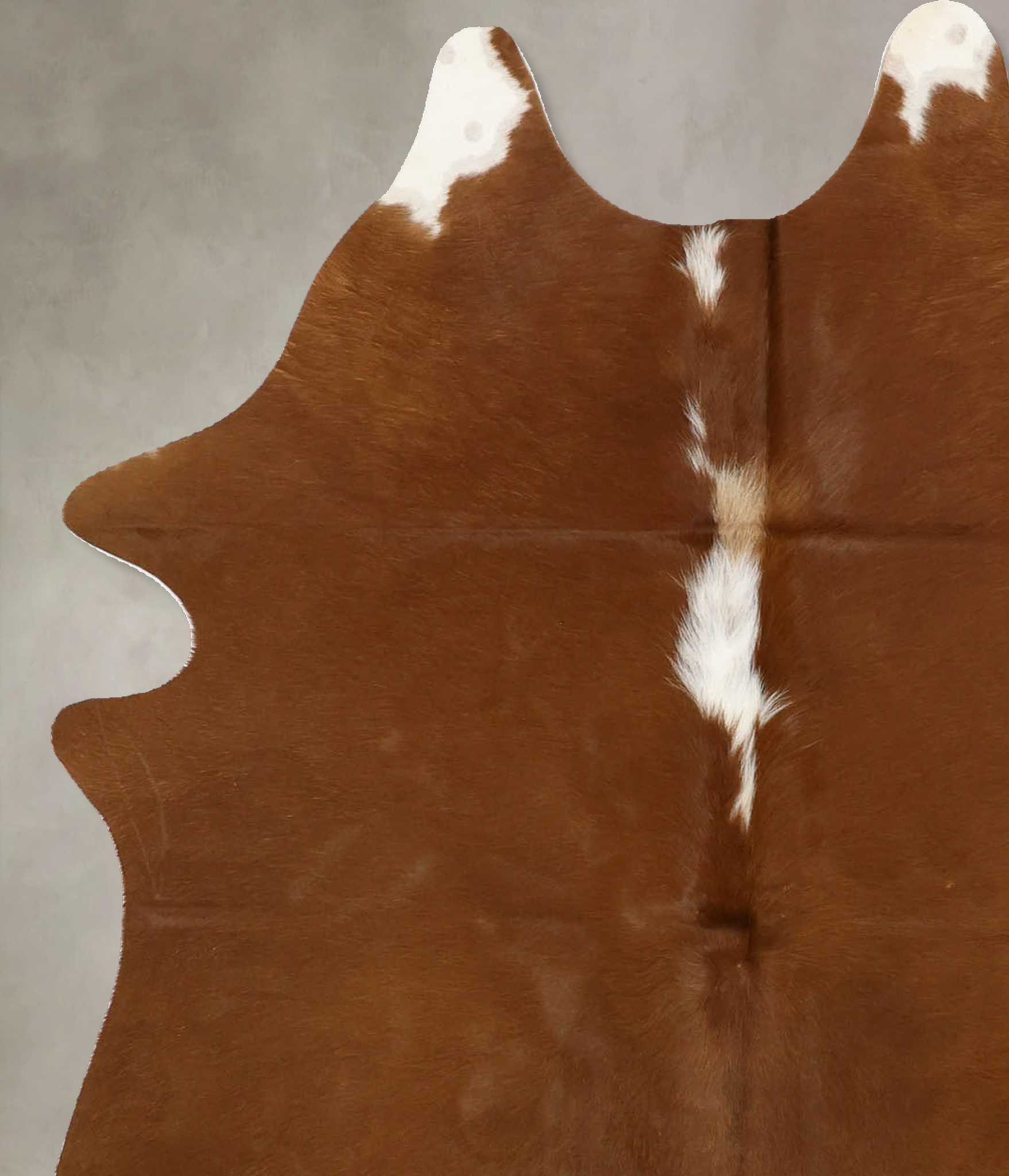 Brown and White Regular Cowhide Rug #B11410