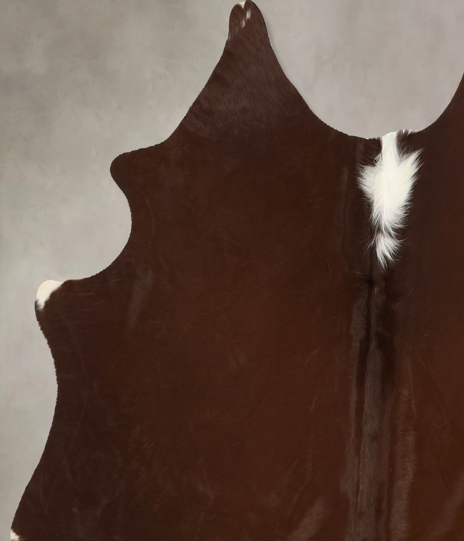 Solid Brown Cowhide Rug #B11452