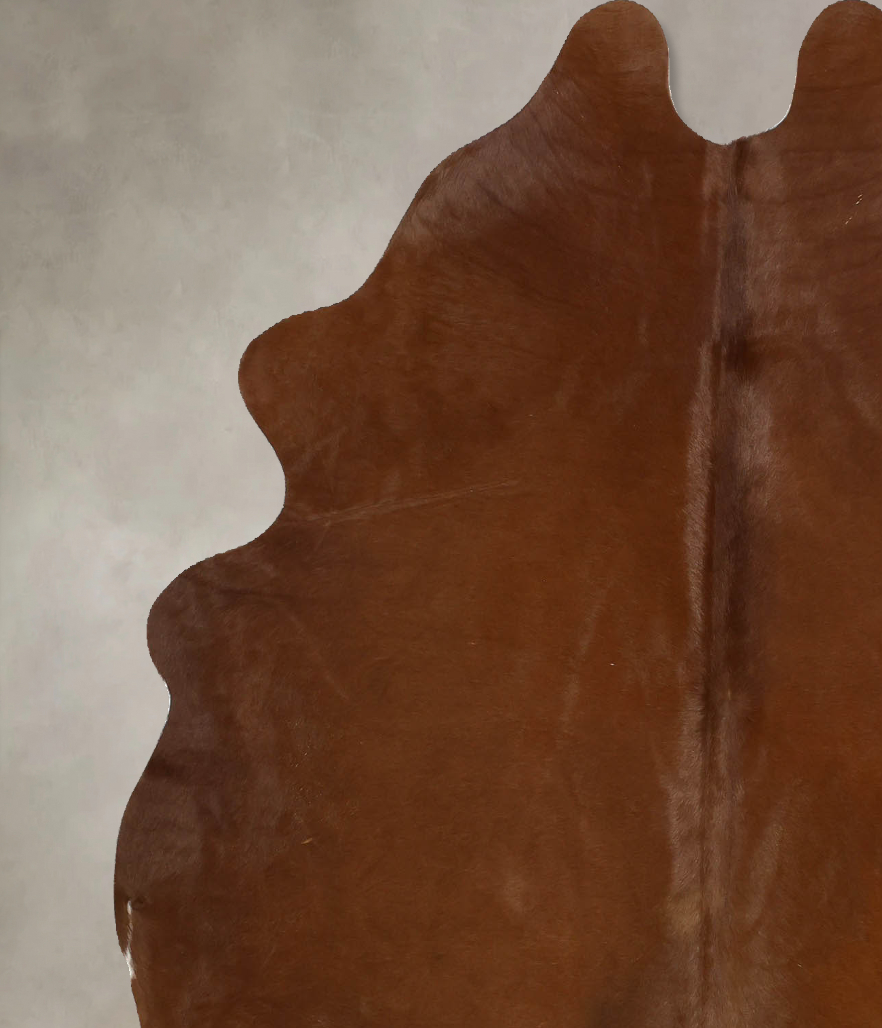 Solid Brown Cowhide Rug #B11453