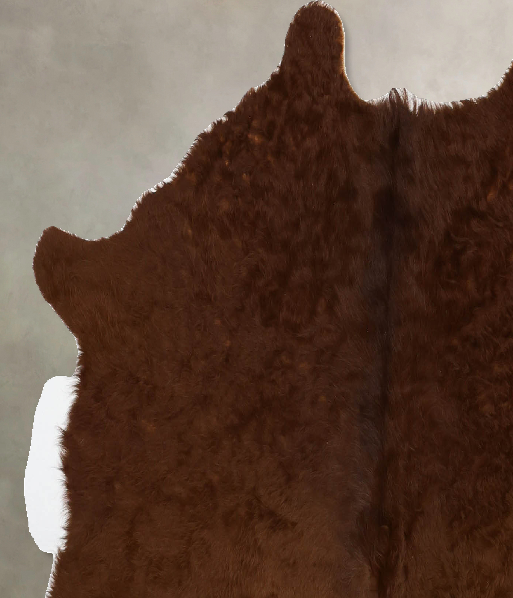 Solid Brown Cowhide Rug #B11454