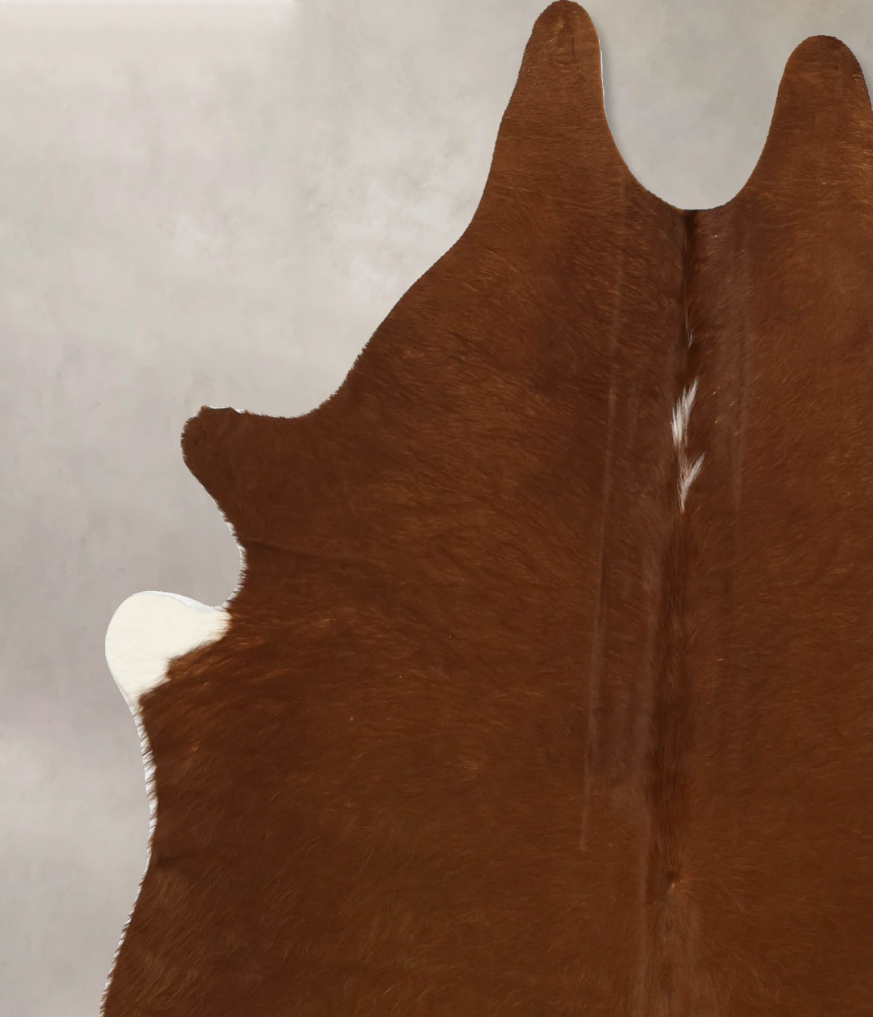 Solid Brown Cowhide Rug #B11456