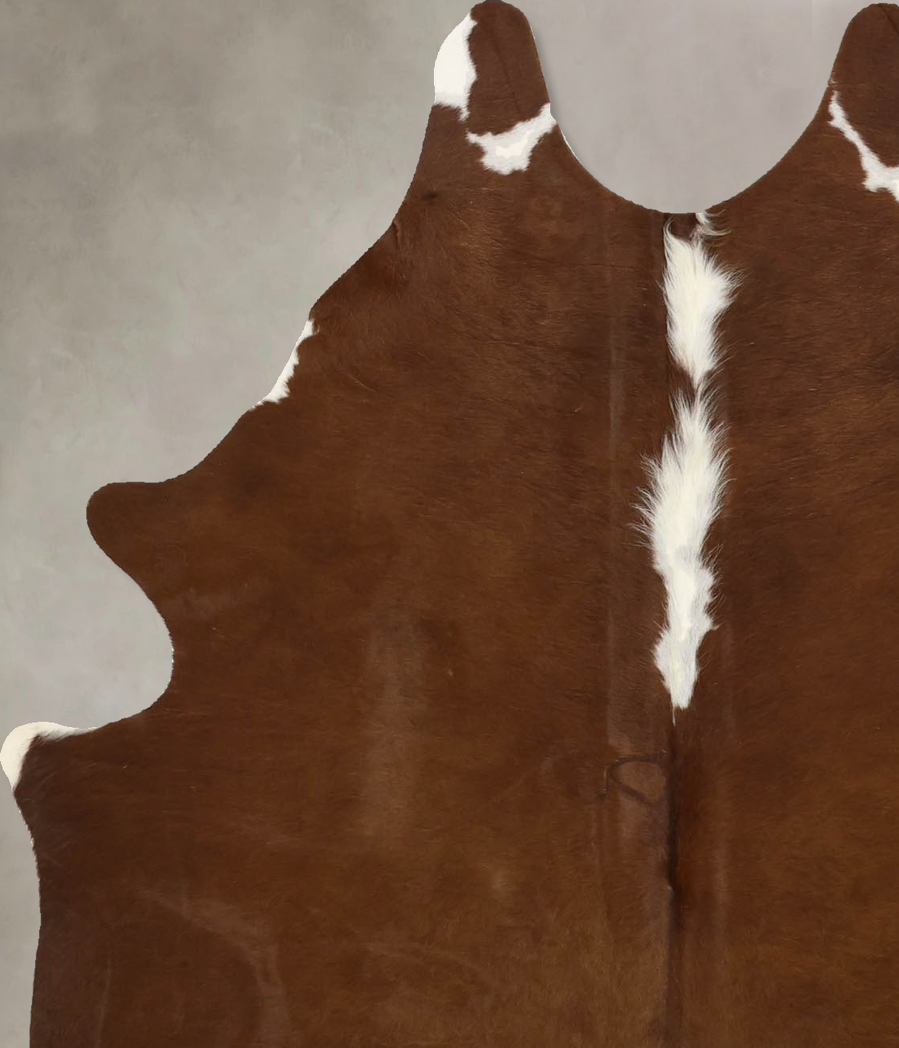 Brown and White Regular Cowhide Rug #B11458