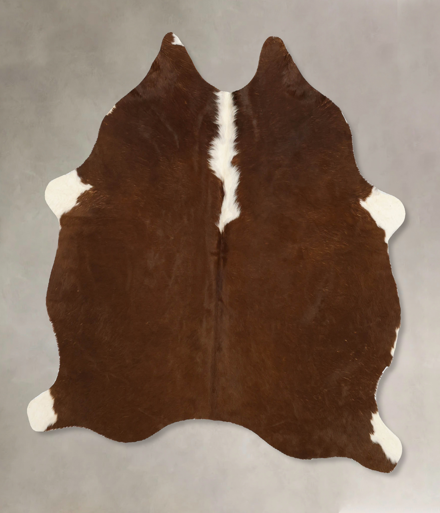 Brown and White Regular Cowhide Rug #B11459