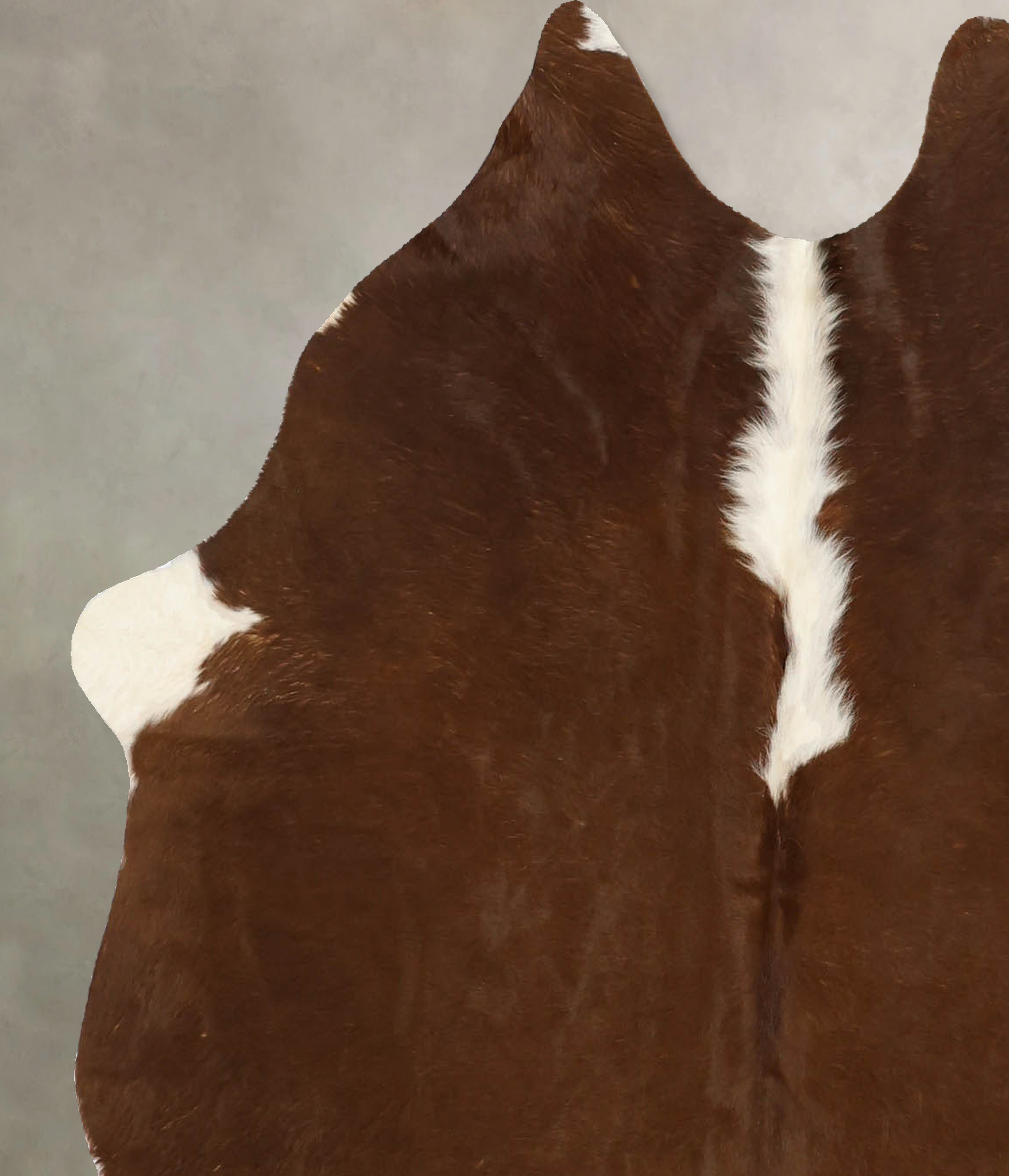 Brown and White Regular Cowhide Rug #B11459